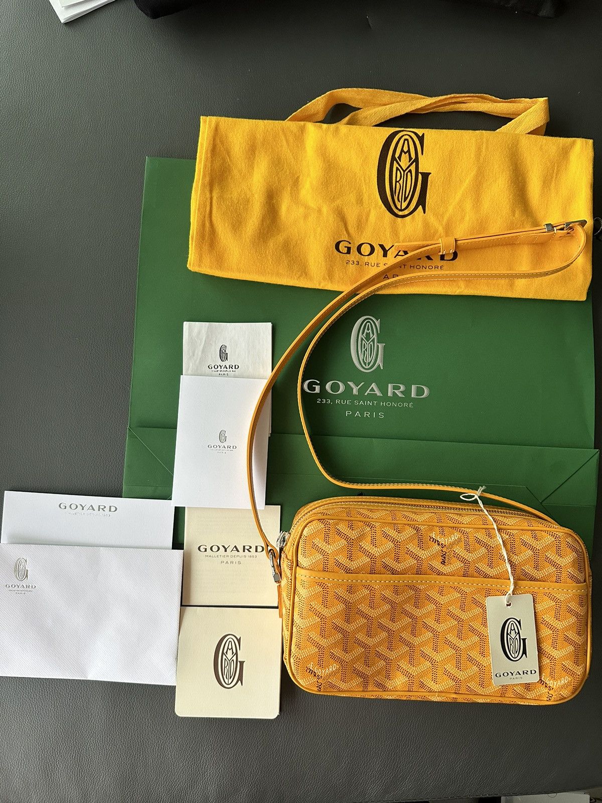 Goyard Brand New Limited Super Rare Cap Vert Goyard Camera Bag Size ONE SIZE - 2 Thumbnail