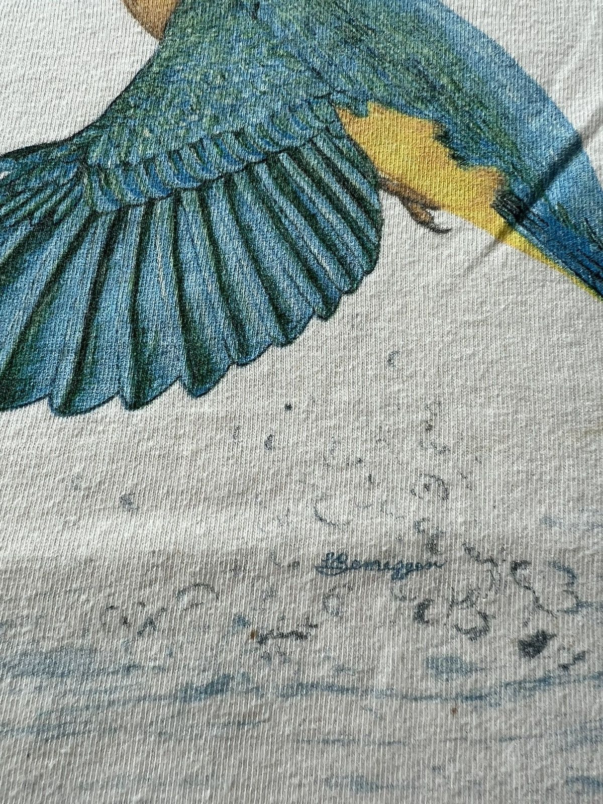 Band Tees Vintage 90s Harlequin Kolibri Trochilidae Bird White Tee Size US S / EU 44-46 / 1 - 5 Thumbnail