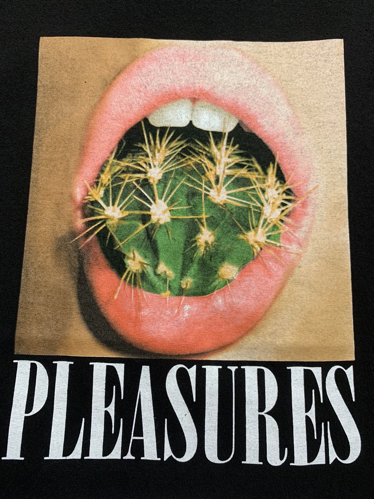 Pleasures Pleasures Cactus Mouth T-Shirt Size US L / EU 52-54 / 3 - 4 Thumbnail