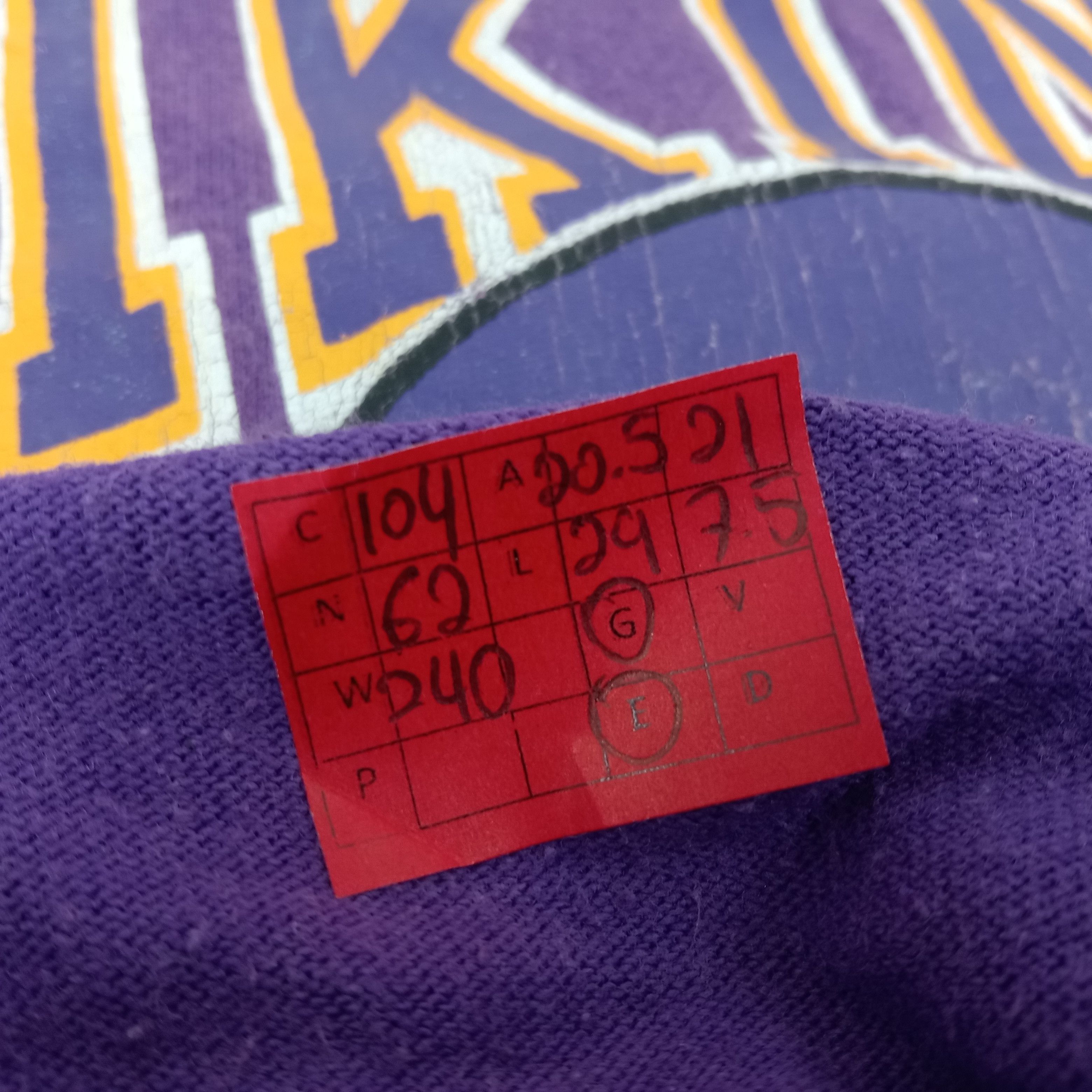 Champion × NFL × Vintage Champion Vikings American Sports NFL Tshirt Size US M / EU 48-50 / 2 - 8 Thumbnail