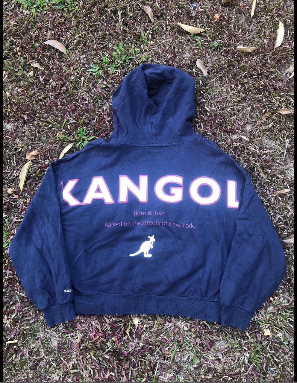 image of Kangol Hoodie in Faded Blue, Women's (Size Small)