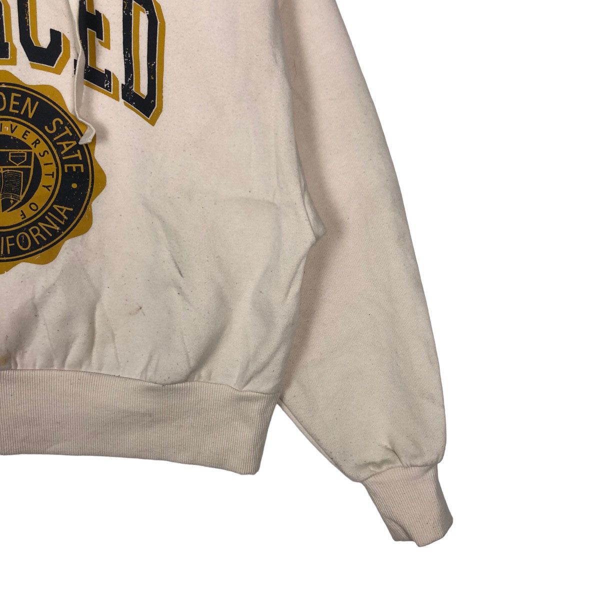 Hysteric Glamour VINTAGE MERCED EARTH & ECOLOGY HYSTERIC GLAMOUR STYLE HOODIE Size US M / EU 48-50 / 2 - 4 Thumbnail