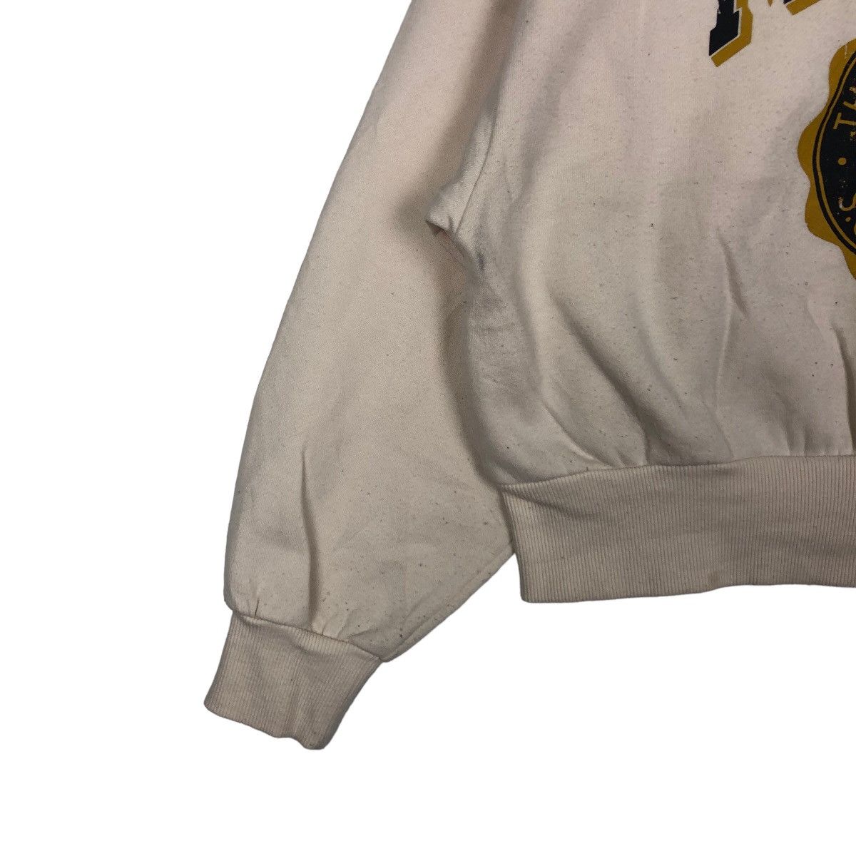 Hysteric Glamour VINTAGE MERCED EARTH & ECOLOGY HYSTERIC GLAMOUR STYLE HOODIE Size US M / EU 48-50 / 2 - 3 Thumbnail