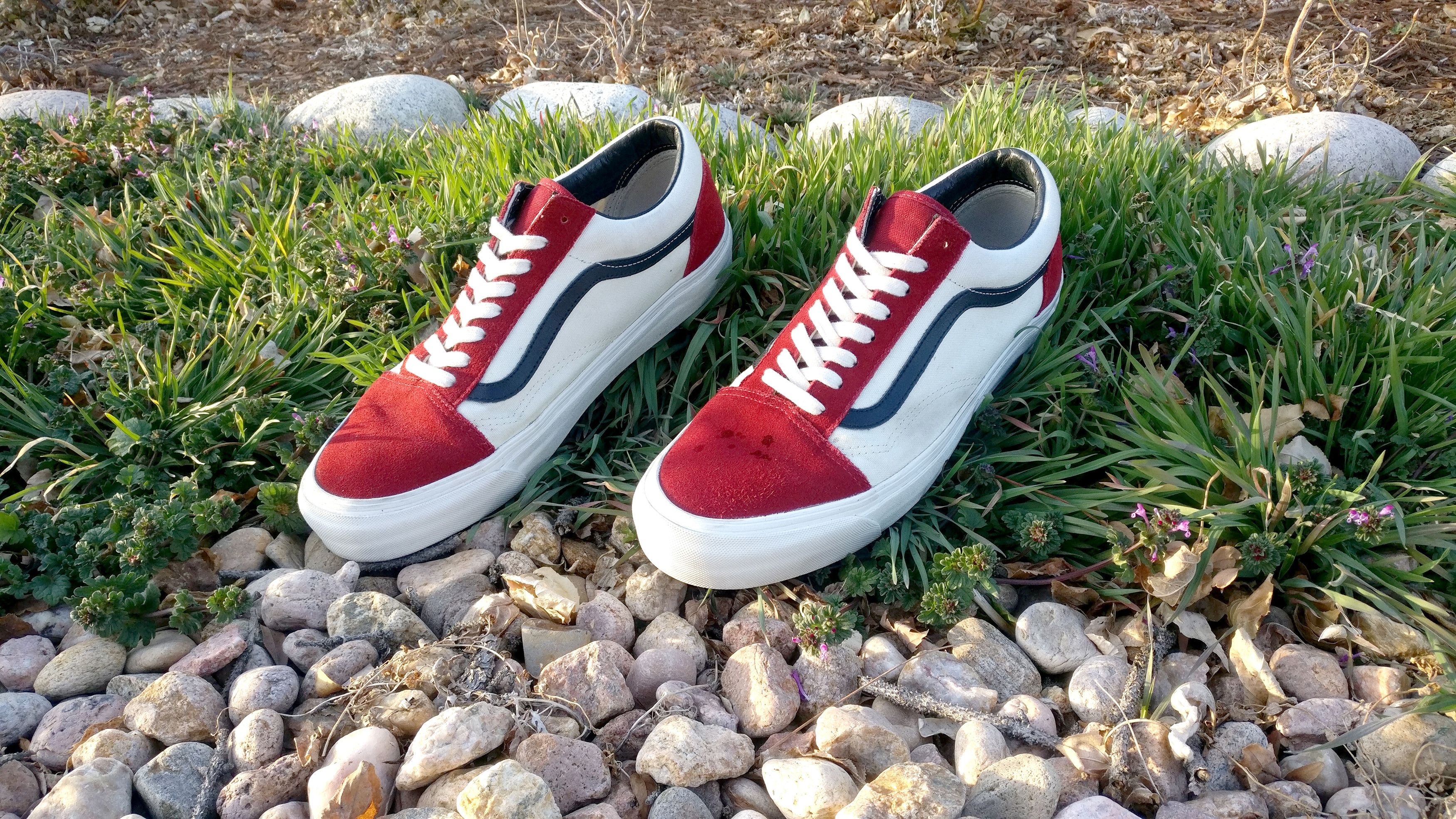 Vans dahlia old skool sales