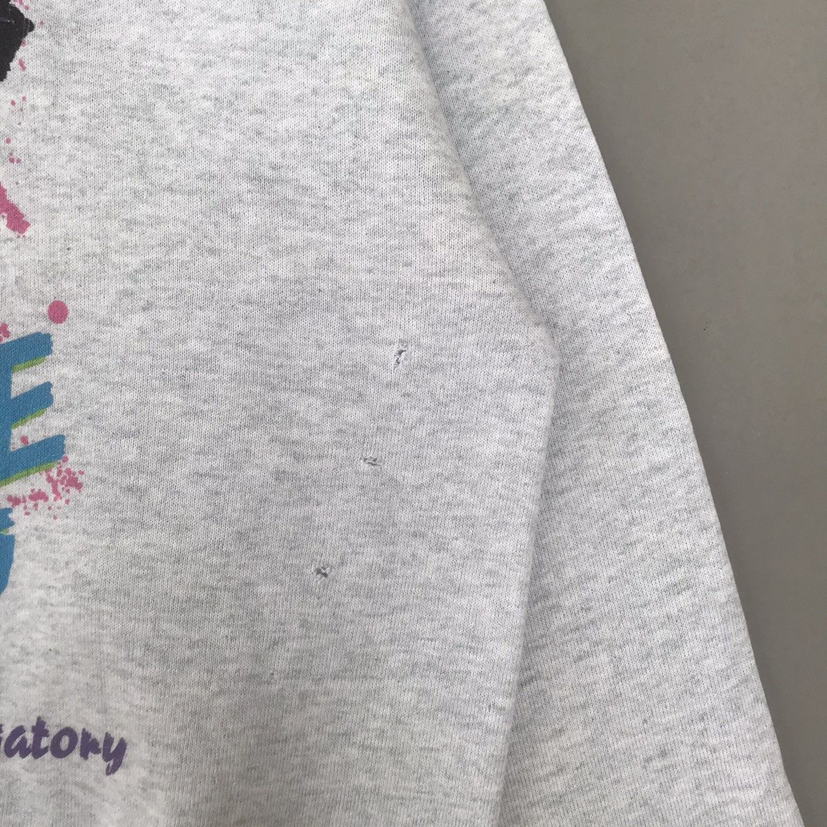 Fruit Of The Loom × Vintage Vintage Extreme Skiing Pungatory big logo Size US L / EU 52-54 / 3 - 3 Thumbnail