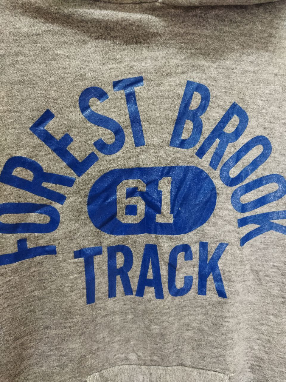 Russell Athletic Vintage Russell Athletic Forest Brook Hoodie Size US L / EU 52-54 / 3 - 3 Thumbnail