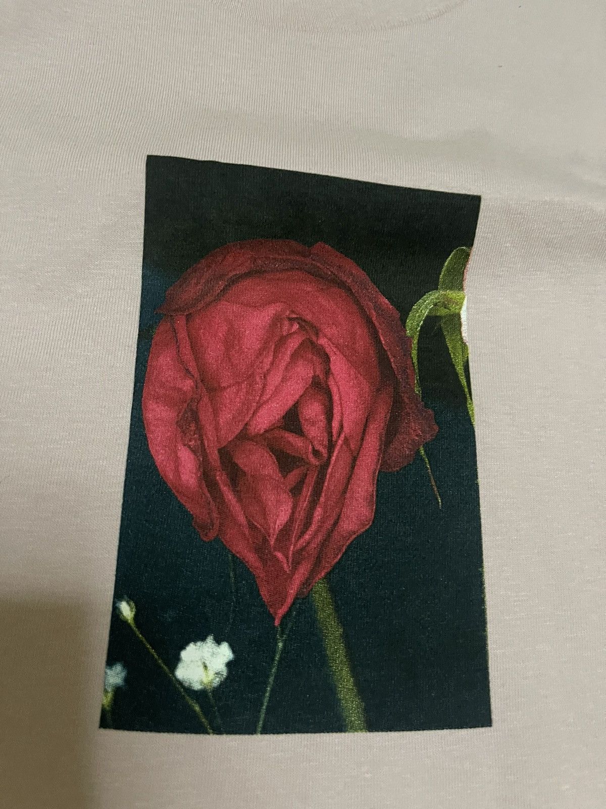Supreme Supreme Araki rose tee pink ds Size US XL / EU 56 / 4 - 2 Thumbnail