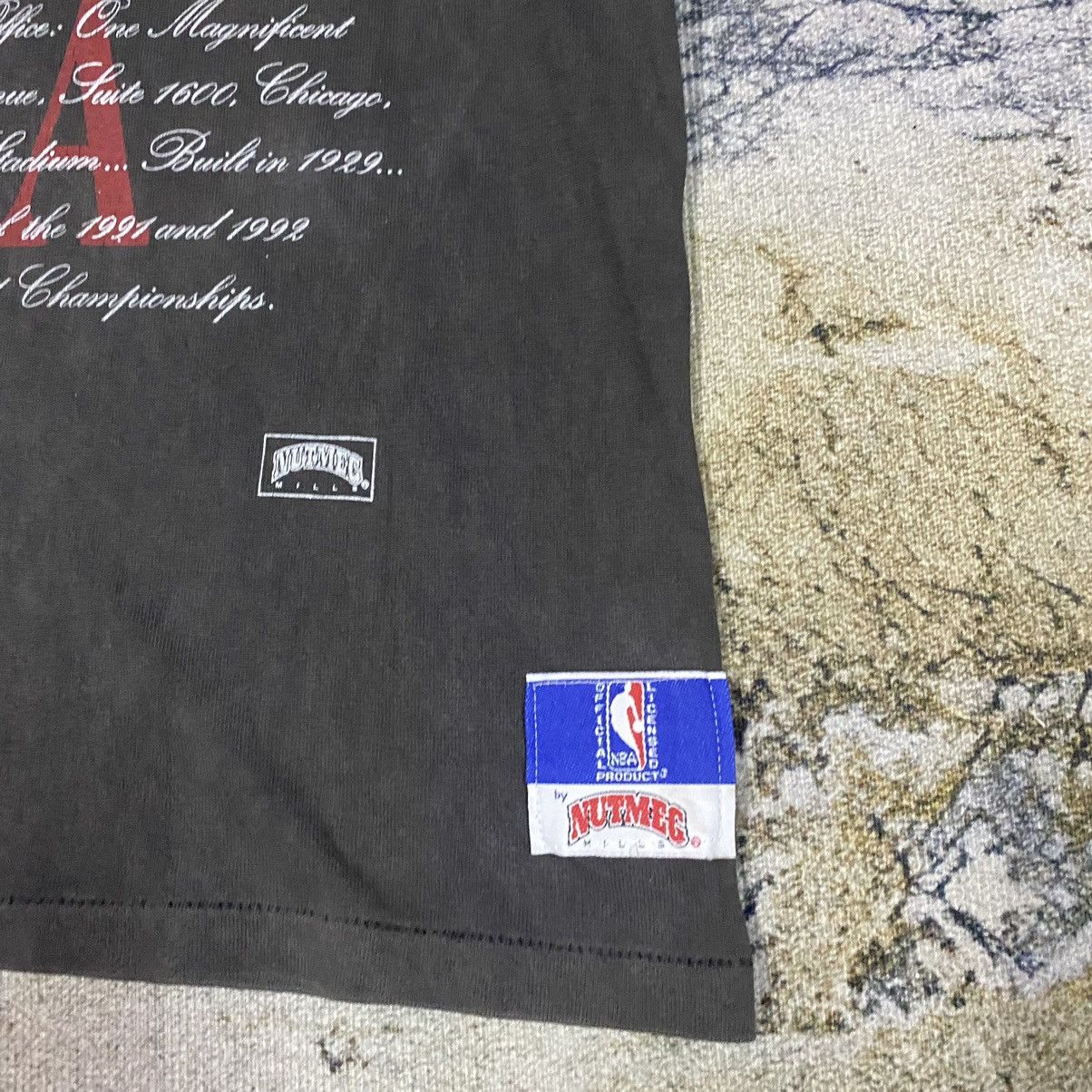 NBA × Nutmeg × Vintage Vintage 90s NBA Chichago Bulls Nutmeg Mills Faded Tees Size US L / EU 52-54 / 3 - 6 Thumbnail