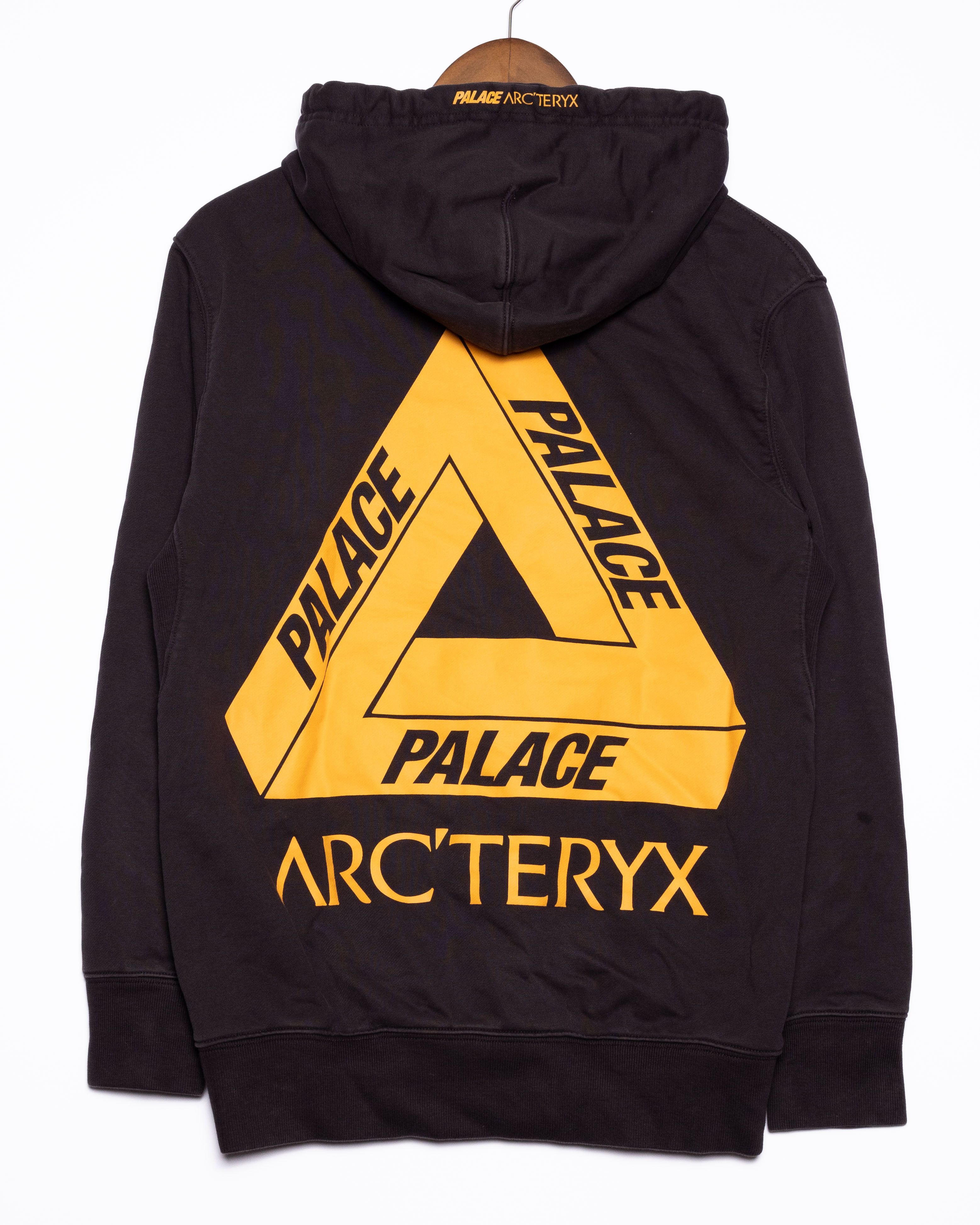 Palace best sale arcteryx hoodie