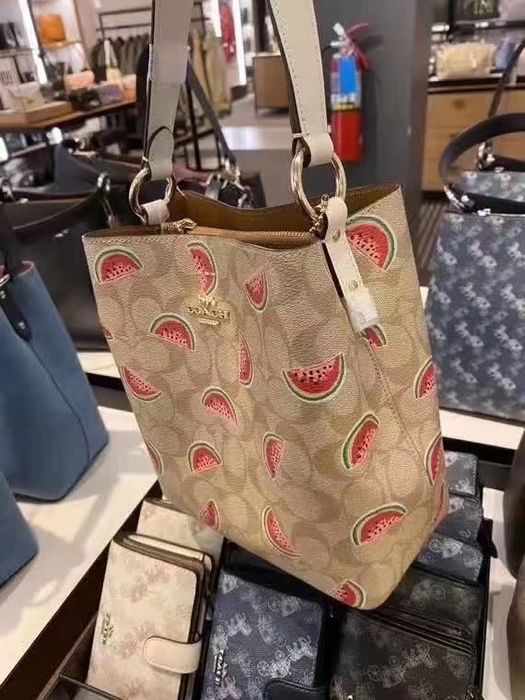 Coach Small Town Bucket Bag In Signature With Watermelon Print Grailed
