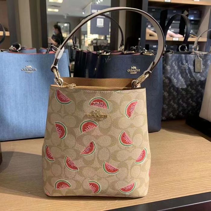 Coach Small Town Bucket Bag In Signature With Watermelon Print Grailed