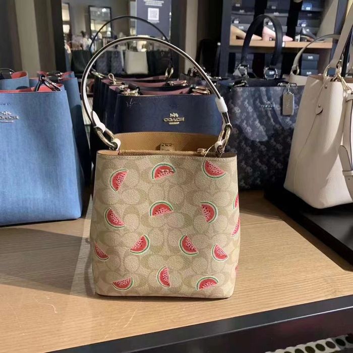 Coach Small Town Bucket Bag In Signature With Watermelon Print Grailed