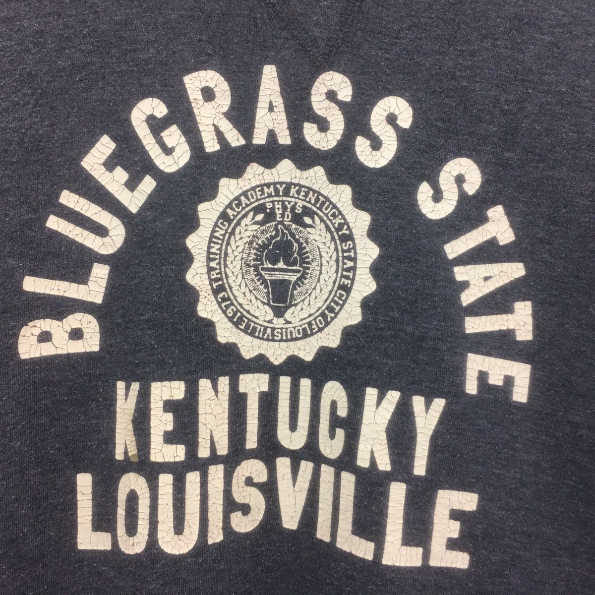 Japanese Brand × Vintage Vintage Bluegrass State Kentucky Louisville Sweatshirt Size US M / EU 48-50 / 2 - 3 Thumbnail