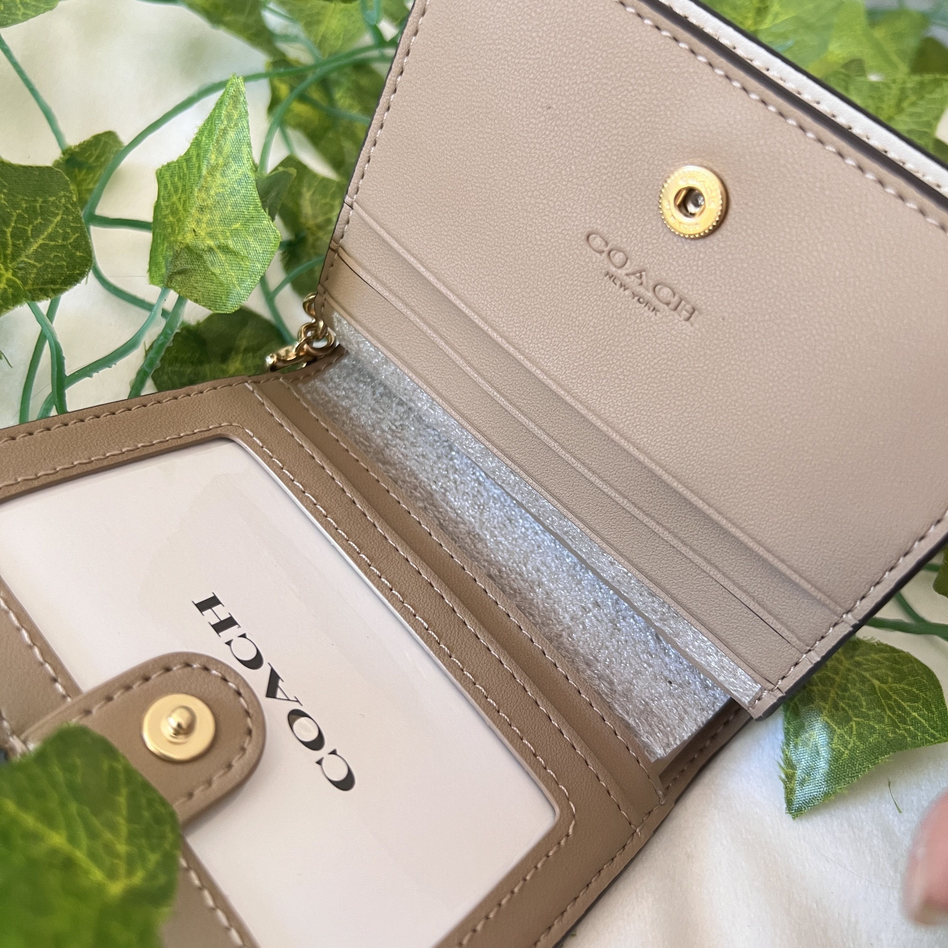 Snap Wallet In Signature Canvas With Nostalgic Ditsy Print