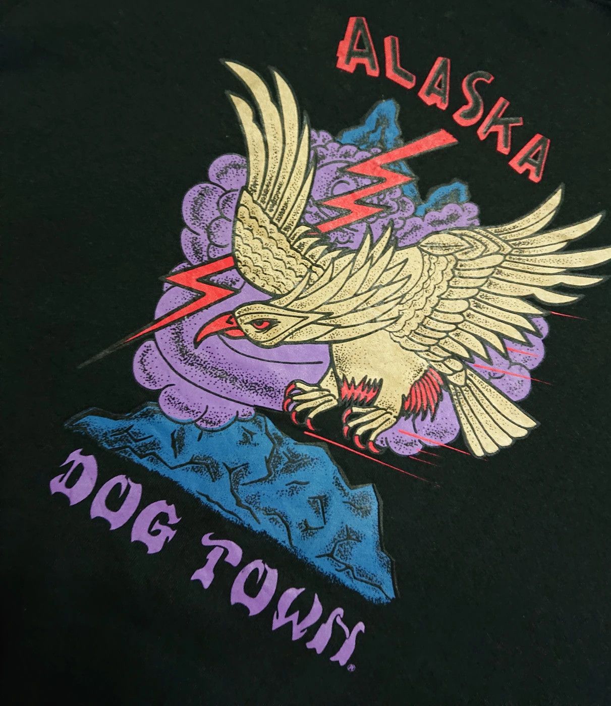 Dogtown VINTAGE RARE 90S ALASKA DOGTOWN SKATE SWEATSHIRTPULLOVER Size US XL / EU 56 / 4 - 2 Thumbnail