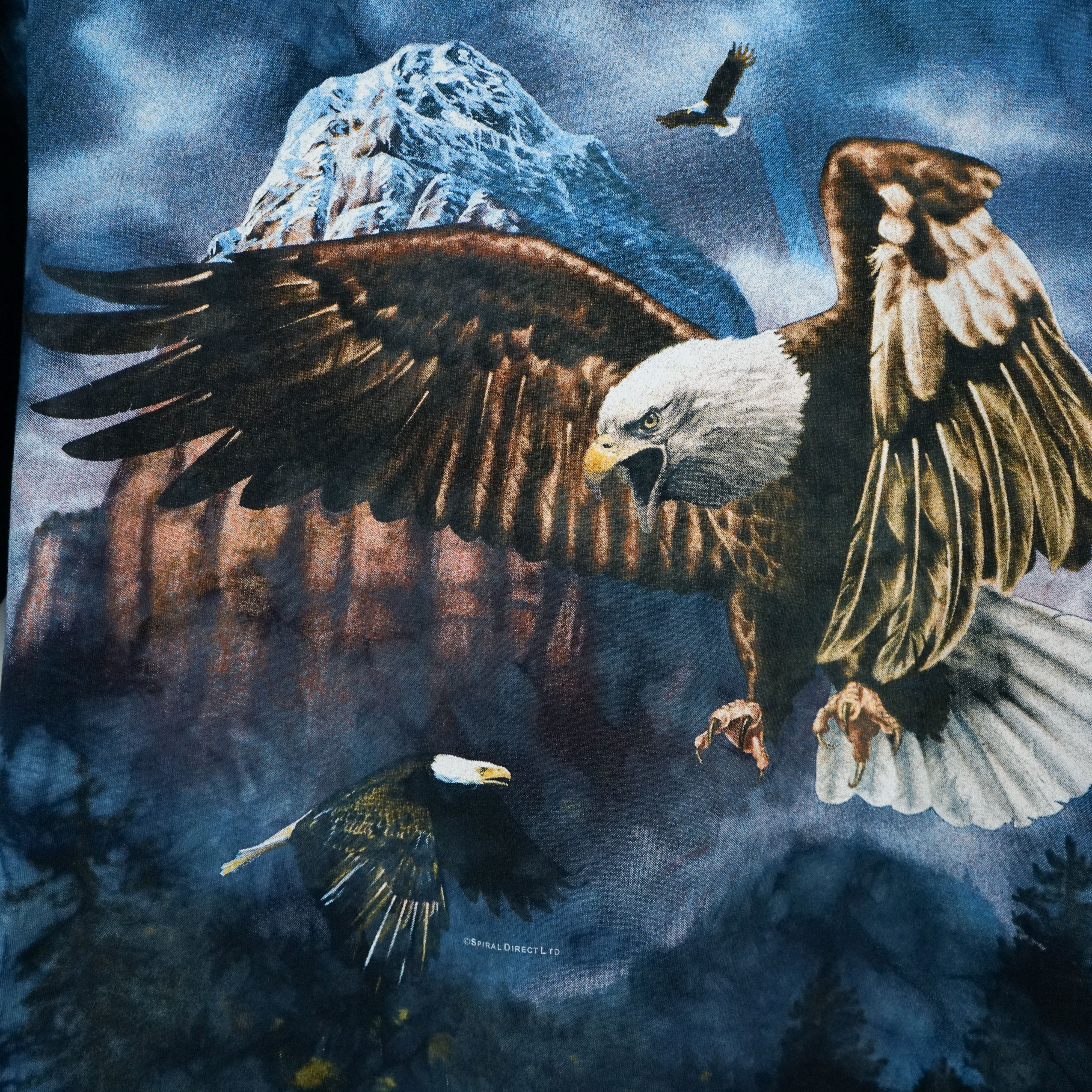 Vintage vintage Eagle t-shirt 90s Size US XL / EU 56 / 4 - 2 Thumbnail