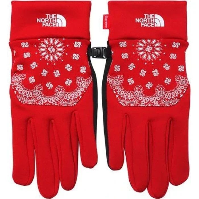 Supreme Supreme x The North Face Etip Gloves FW14 | Grailed