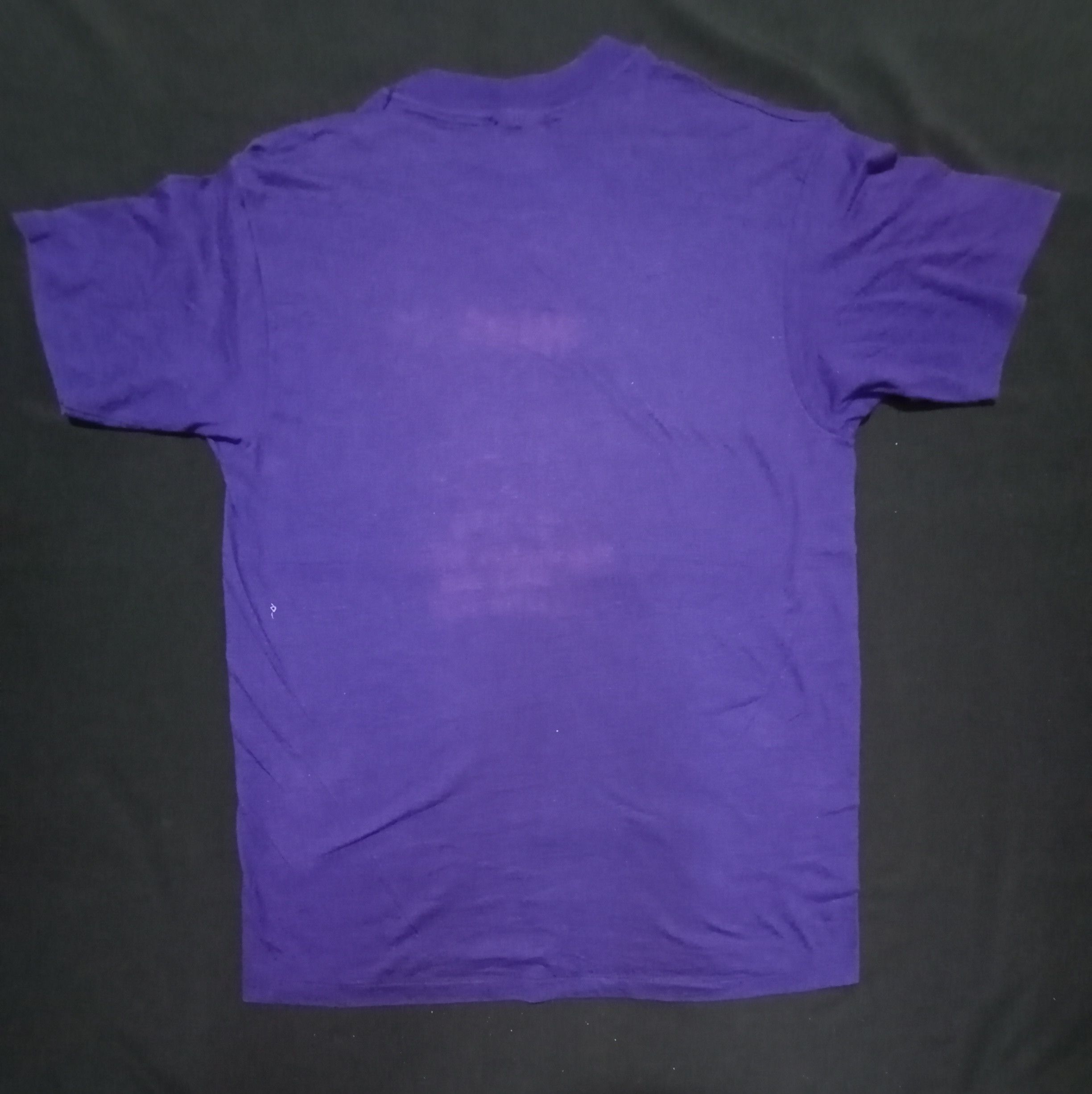 Hanes × Vintage 1988 Champion Kinderthon Manhattan Beach USA 50/50 Tee Size US M / EU 48-50 / 2 - 6 Thumbnail