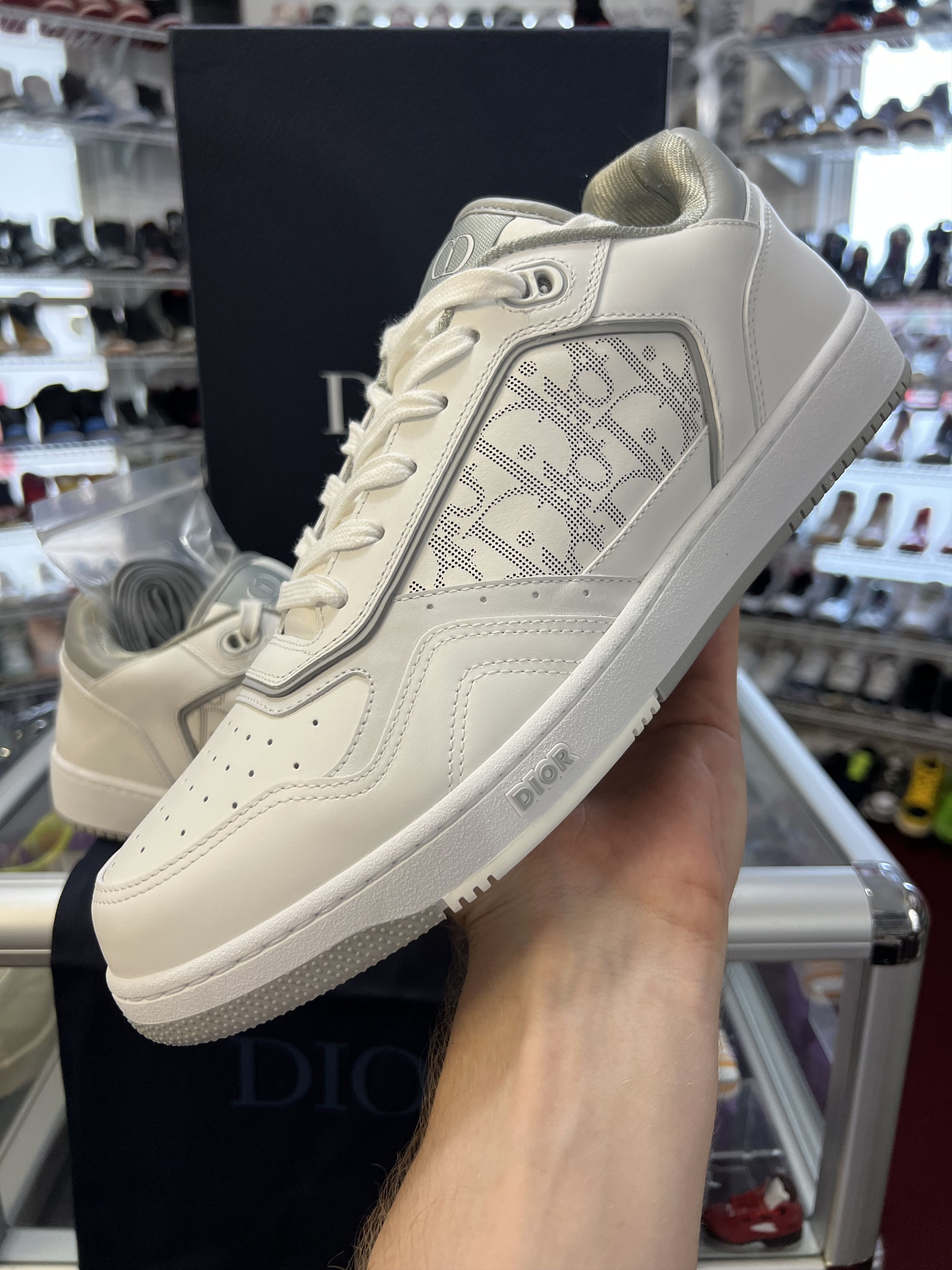 Dior B27 Low Sneaker 'White Grey' New