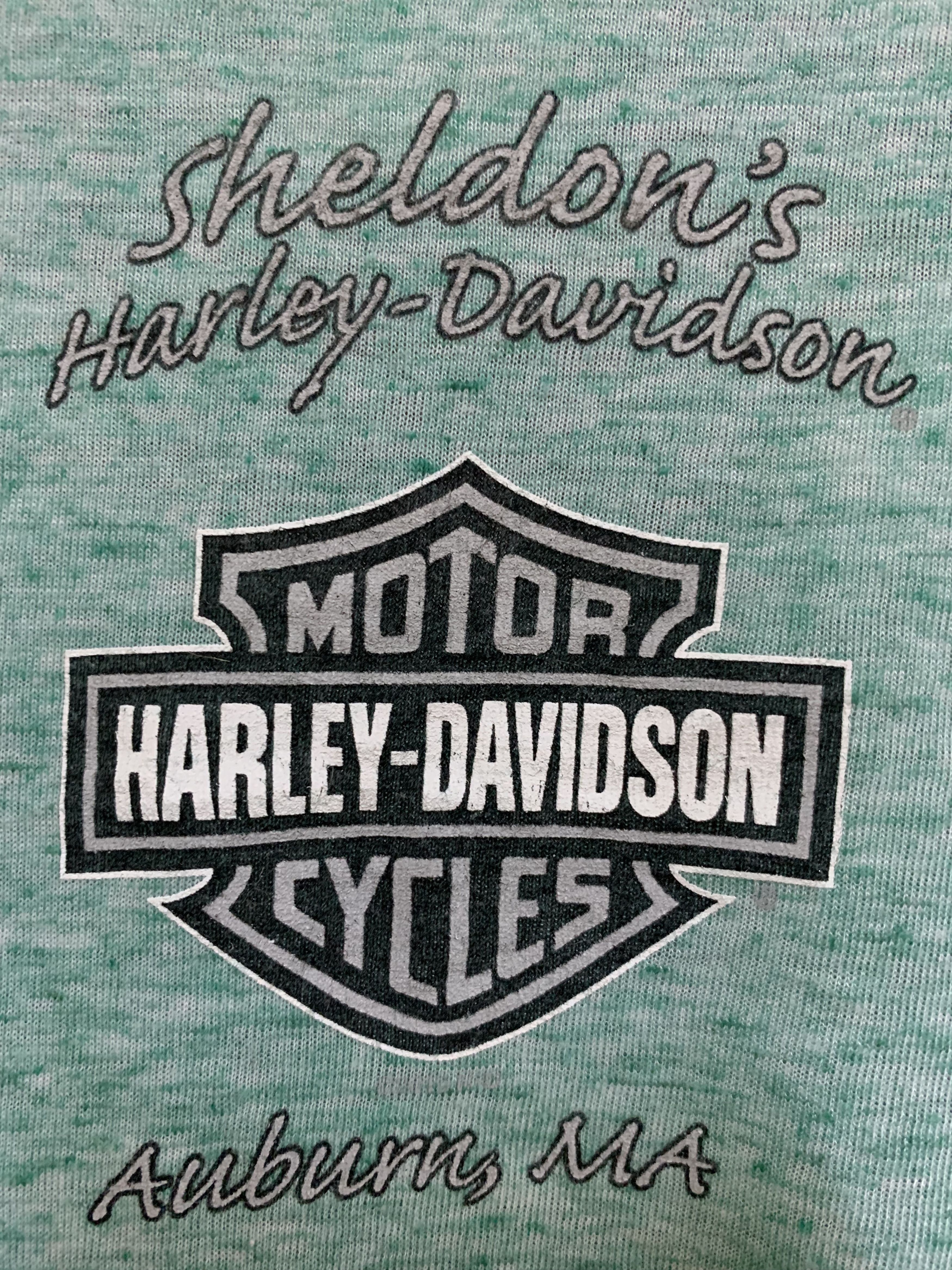 Harley Davidson Harley Davidson BIG LOGO T-Shirt Size XS / US 0-2 / IT 36-38 - 8 Thumbnail