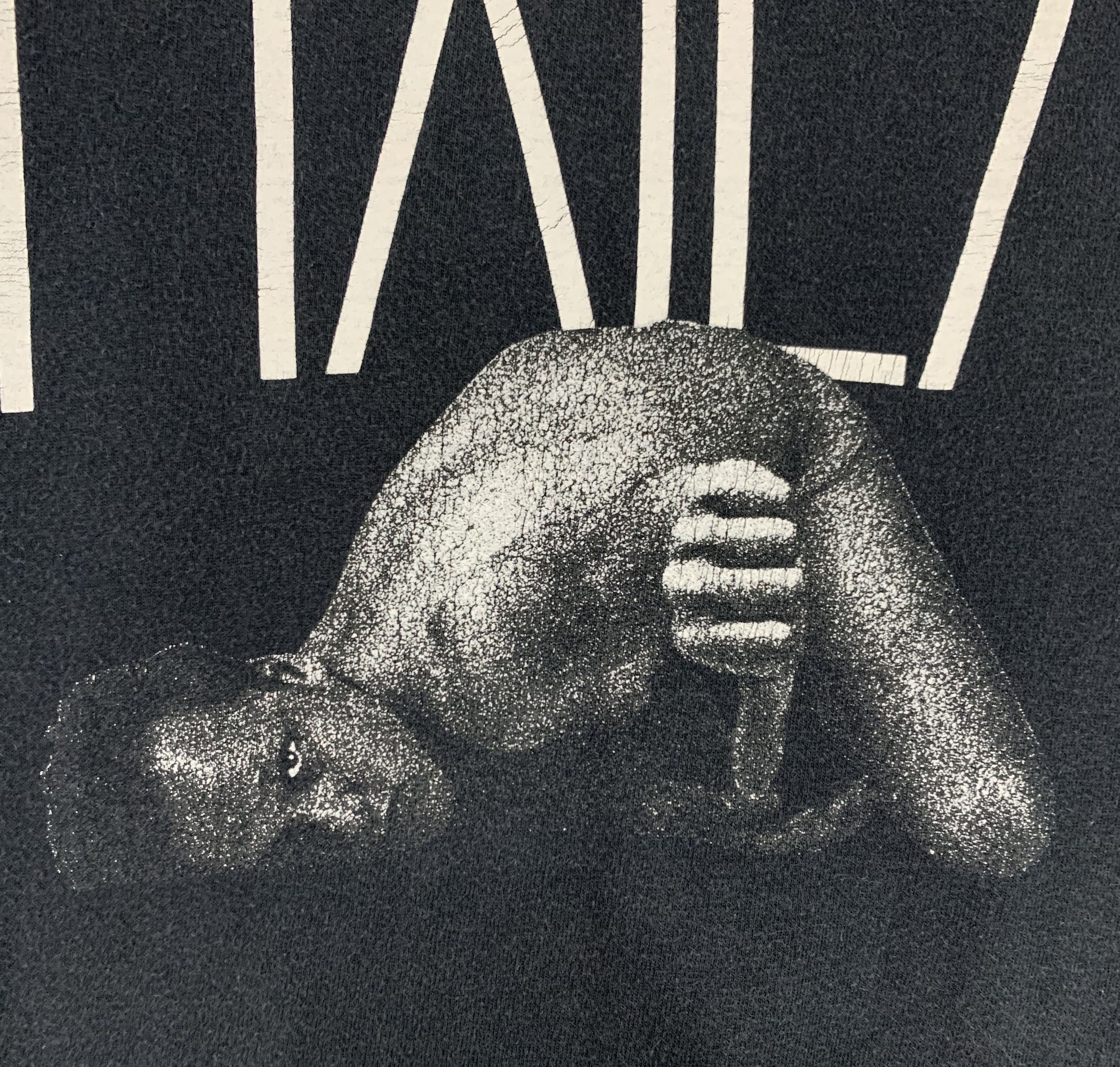Band Tees × Vintage Pixies Death To The Pixies American indie punk vtg tee Size US S / EU 44-46 / 1 - 5 Thumbnail