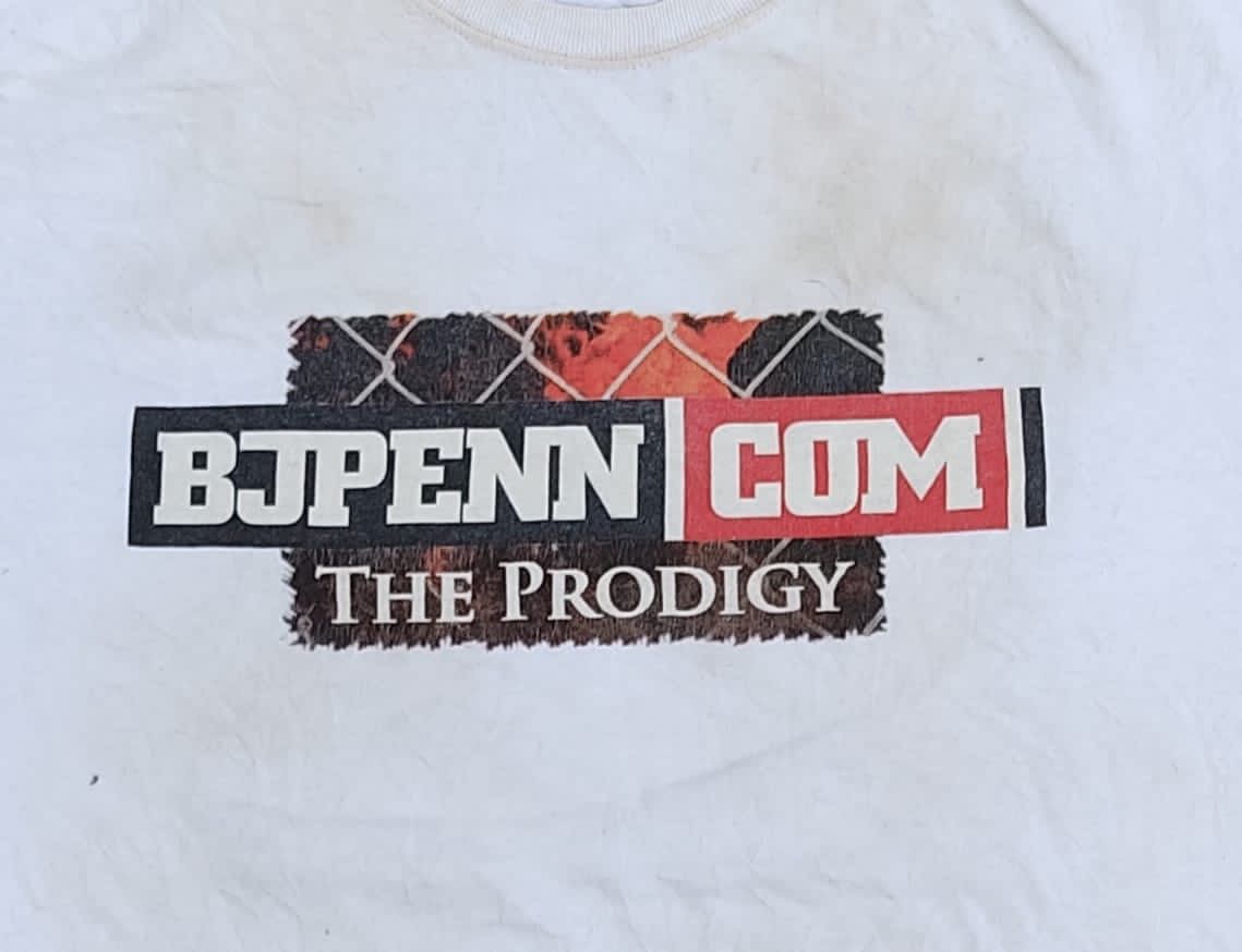 Hanes × Vintage vintage tee D - 20 the prodigy hawaiian worrior Size US XL / EU 56 / 4 - 4 Thumbnail