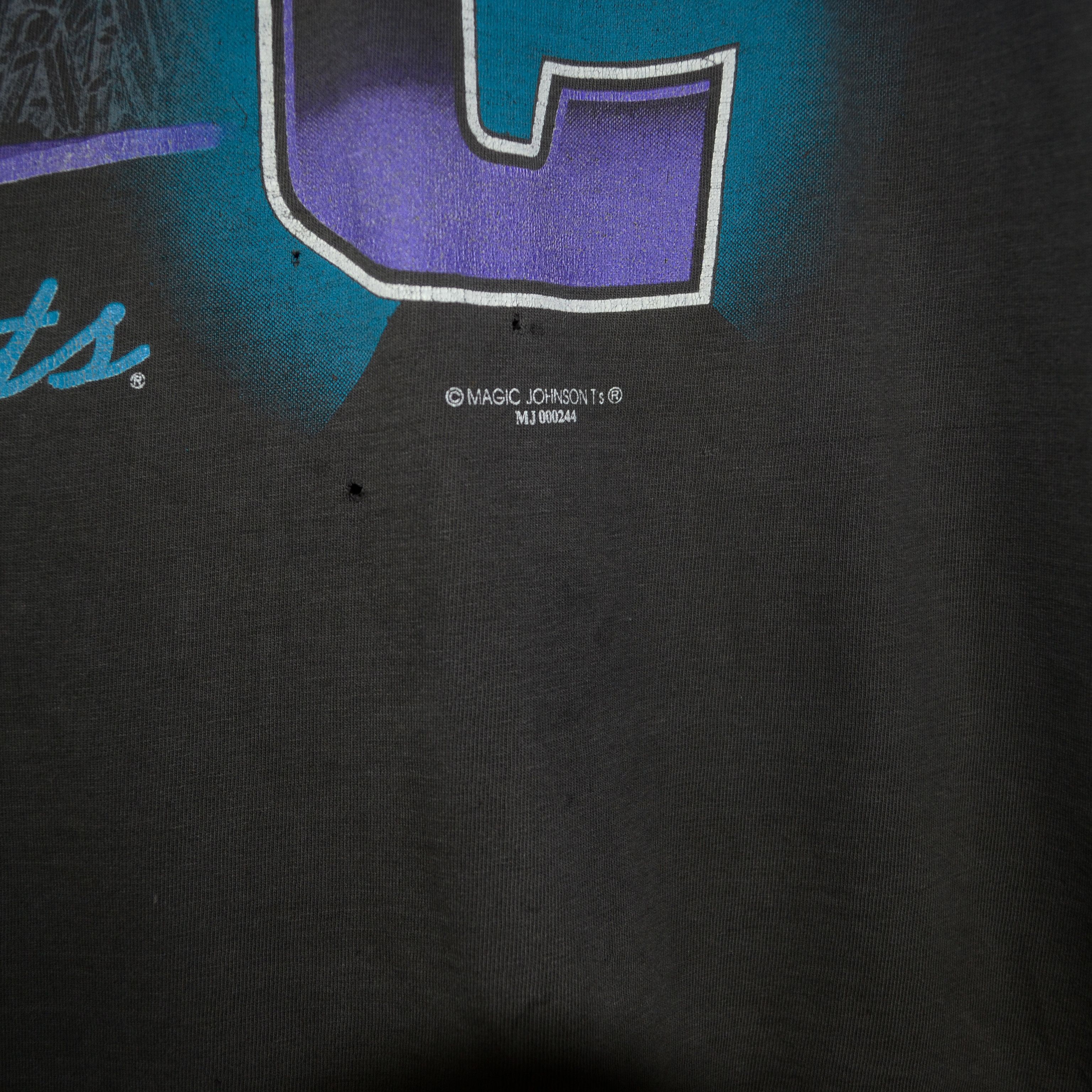 NBA Vintage Magic Johnsons Charlotte Hornets NBA Tee Size XL Size US L / EU 52-54 / 3 - 5 Thumbnail