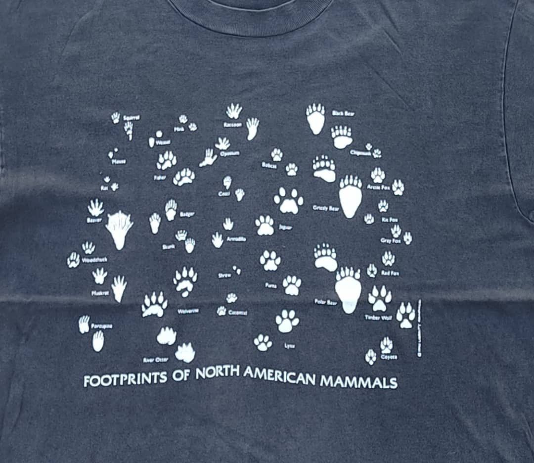 Hanes × Vintage vintage tee mammals ( A 20 ) Size US L / EU 52-54 / 3 - 2 Thumbnail