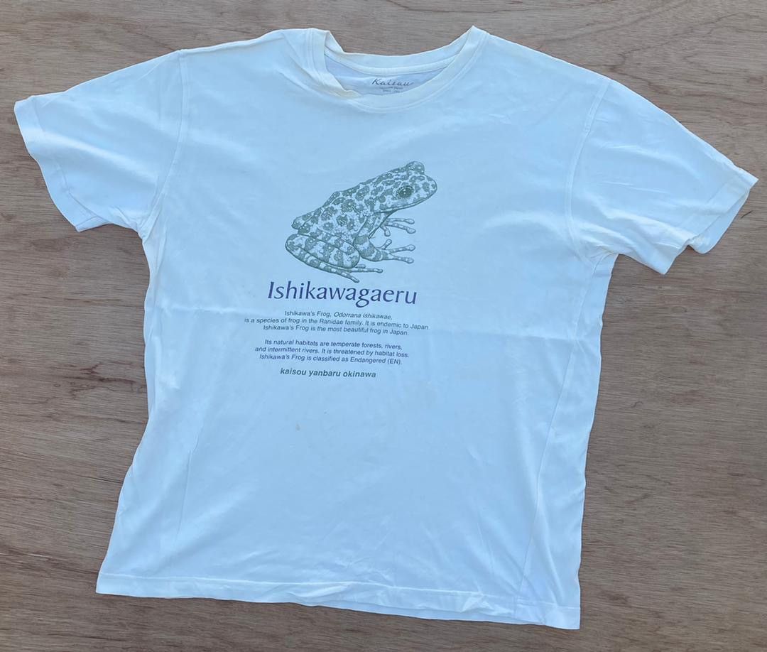 Japanese Brand Ishikawagaeru Organic tee B18 Size US XL / EU 56 / 4 - 1 Thumbnail
