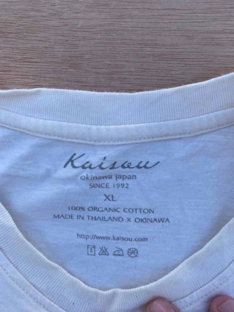 Japanese Brand Ishikawagaeru Organic tee B18 Size US XL / EU 56 / 4 - 4 Thumbnail