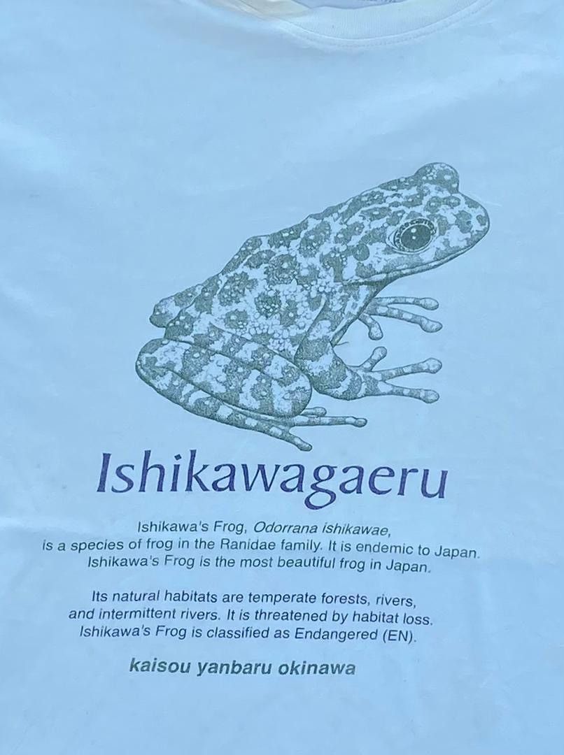 Japanese Brand Ishikawagaeru Organic tee B18 Size US XL / EU 56 / 4 - 2 Thumbnail