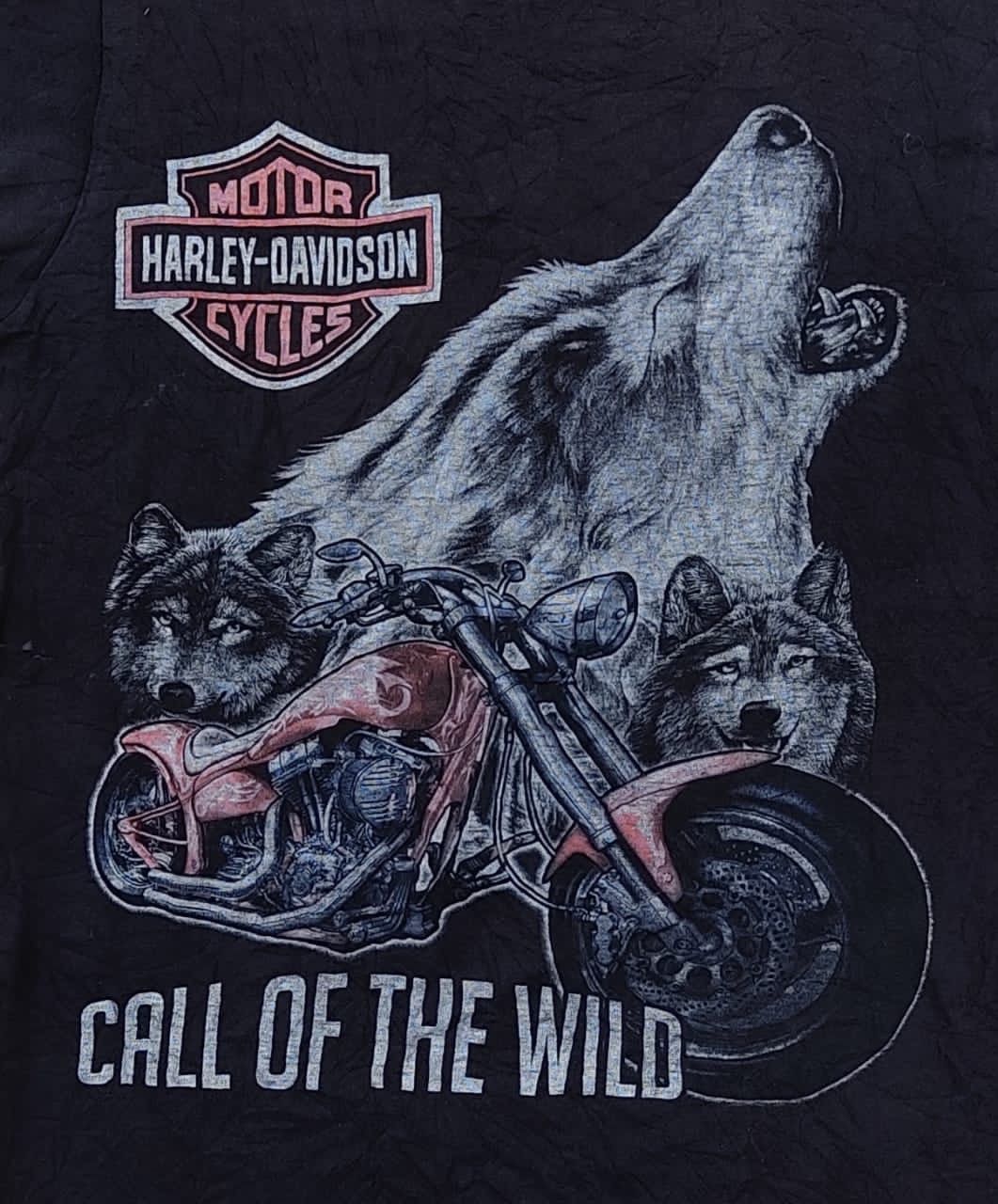 Fruit Of The Loom × Harley Davidson × Vintage vintage tee D - 20 harley davidson Size US S / EU 44-46 / 1 - 2 Thumbnail