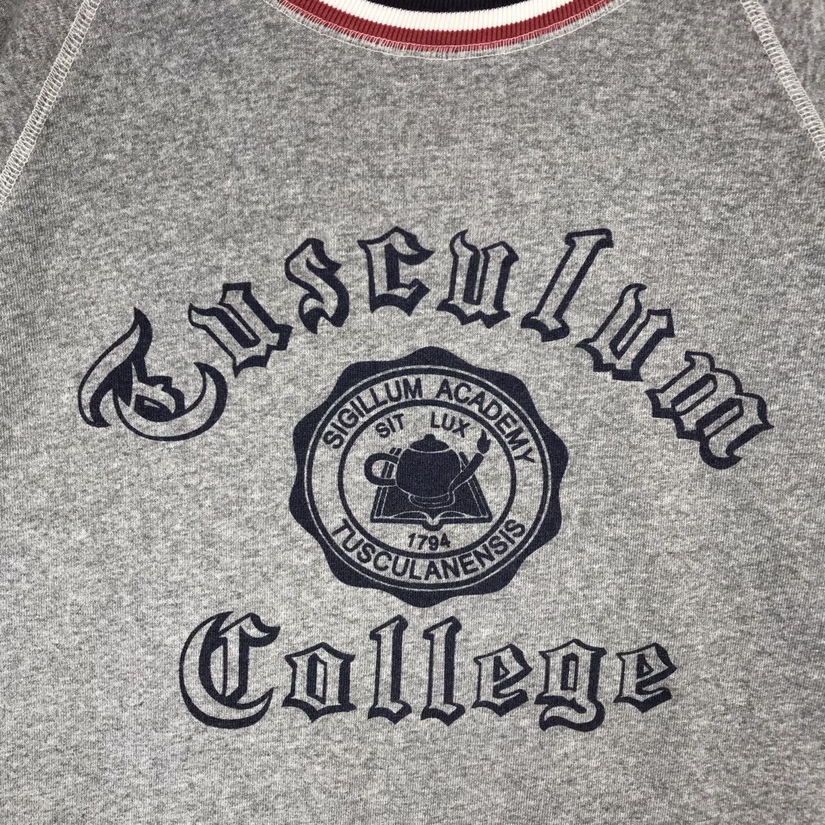 Champion Vintage 80s Tusculum College by Champion Crewneck Size US L / EU 52-54 / 3 - 3 Thumbnail