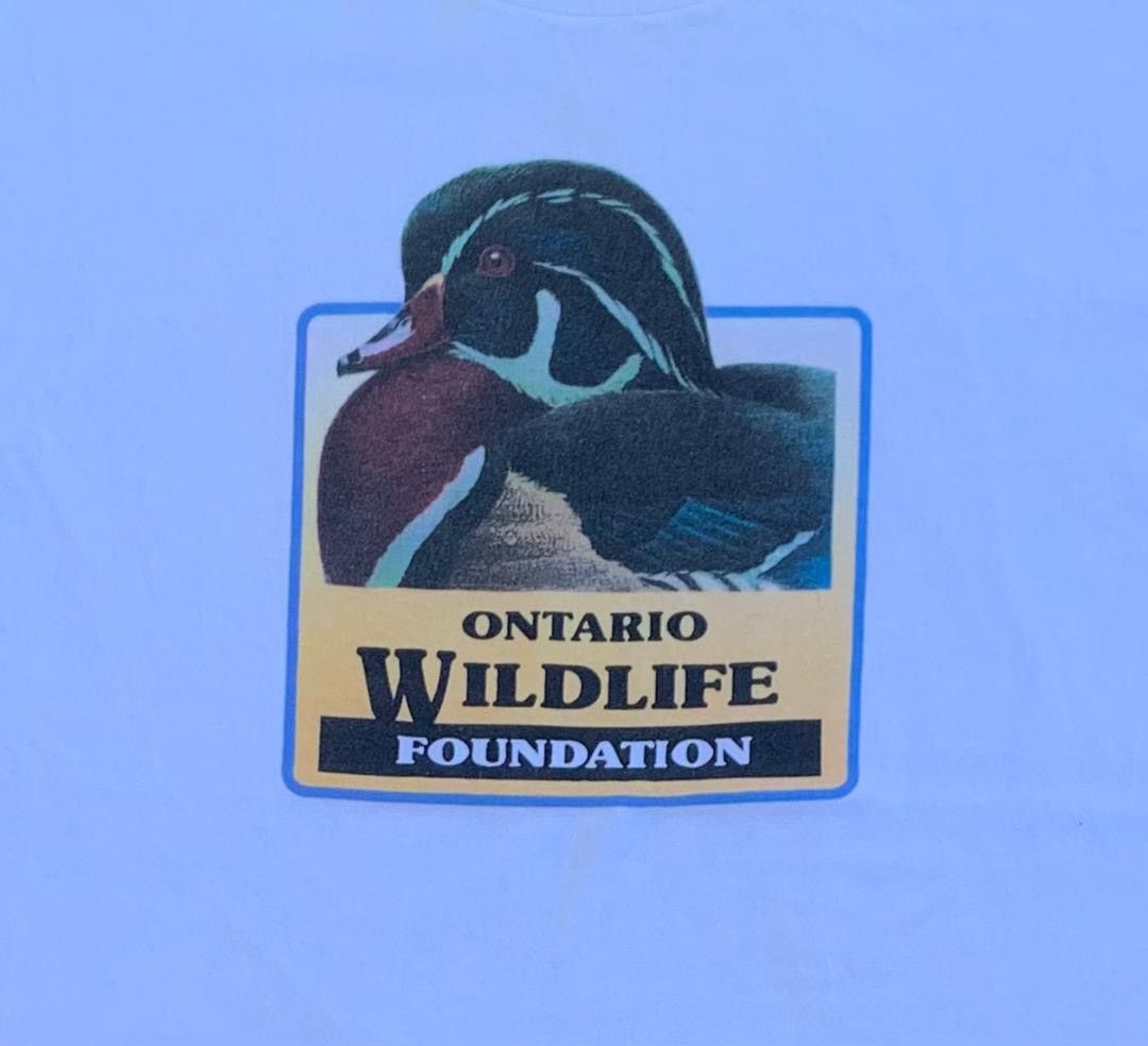 Fruit Of The Loom × Vintage vintage tee ontario wildlife D - 7 Size US L / EU 52-54 / 3 - 2 Thumbnail