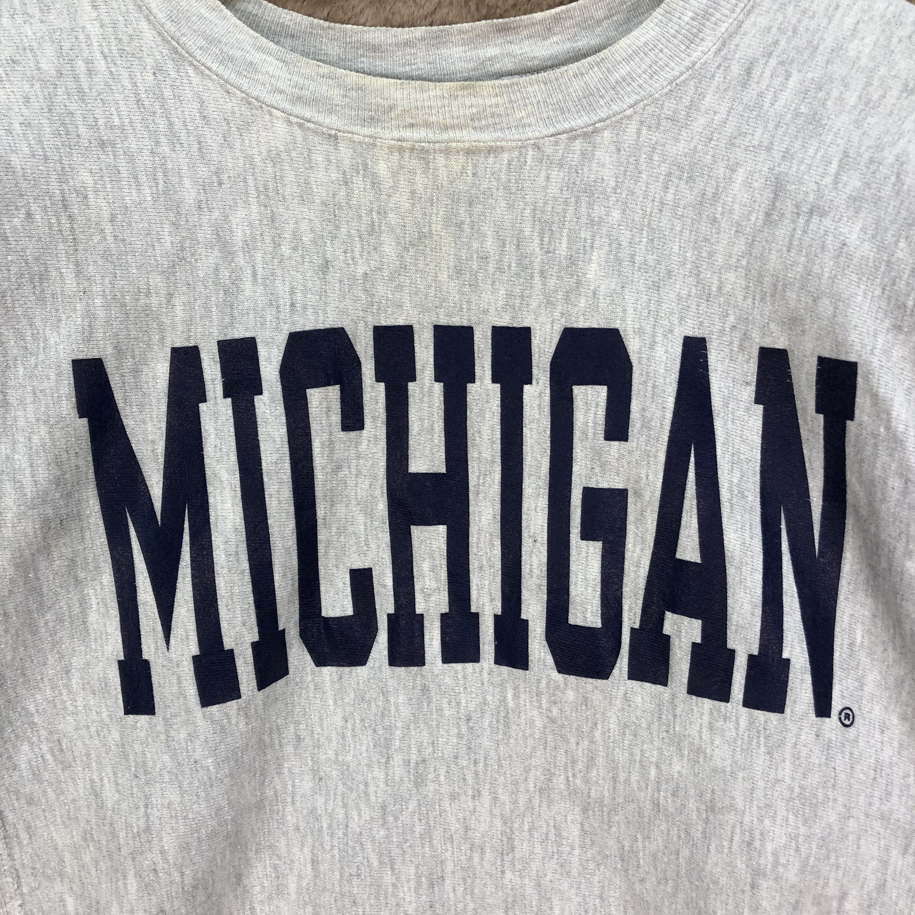 Champion 80's Champion Reverse Weave Michigan Sweatshirts #6029-218 Size US M / EU 48-50 / 2 - 3 Thumbnail