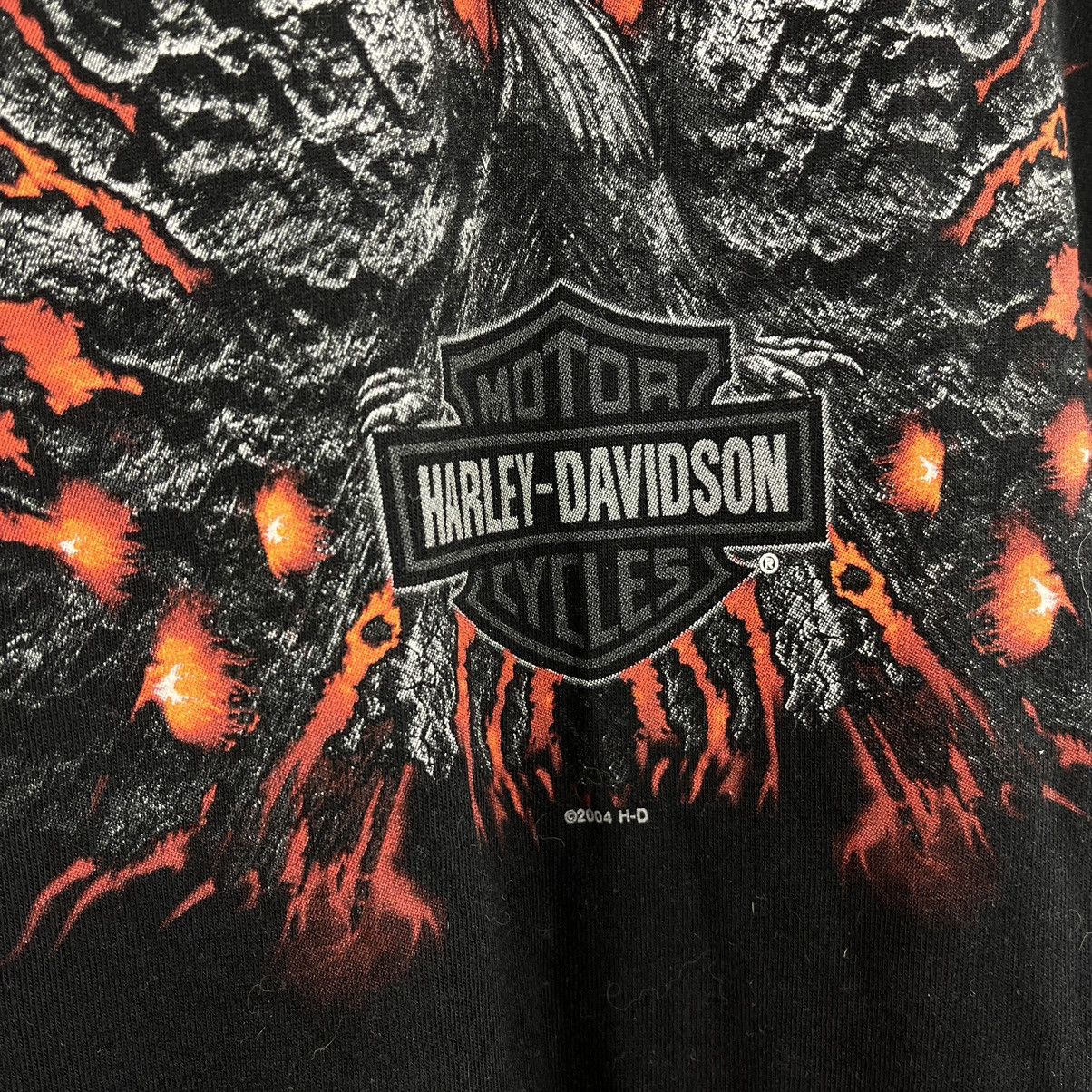 Harley Davidson Harley Davidson 2004 T-Shirt Holoubek Big Back Logo Size XL Size US XL / EU 56 / 4 - 5 Thumbnail