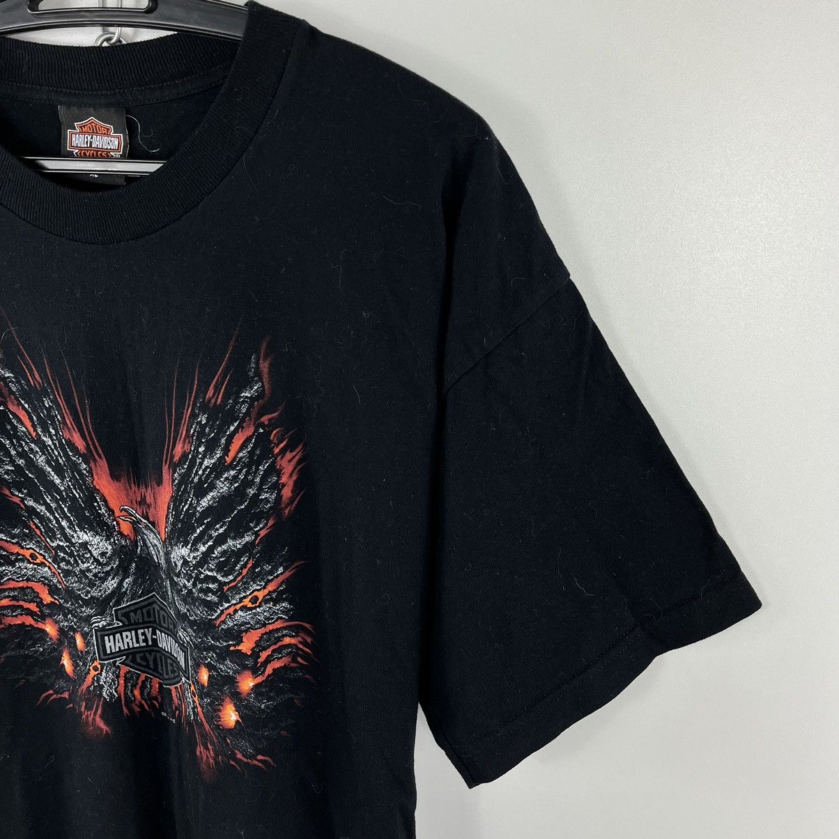 Harley Davidson Harley Davidson 2004 T-Shirt Holoubek Big Back Logo Size XL Size US XL / EU 56 / 4 - 4 Thumbnail