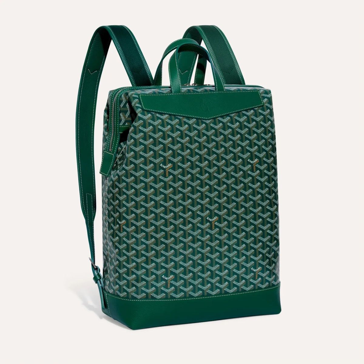 Pre-owned Goyard Cisalpin Backpack In Green