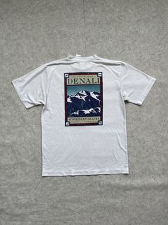 North face 2024 denali t shirt