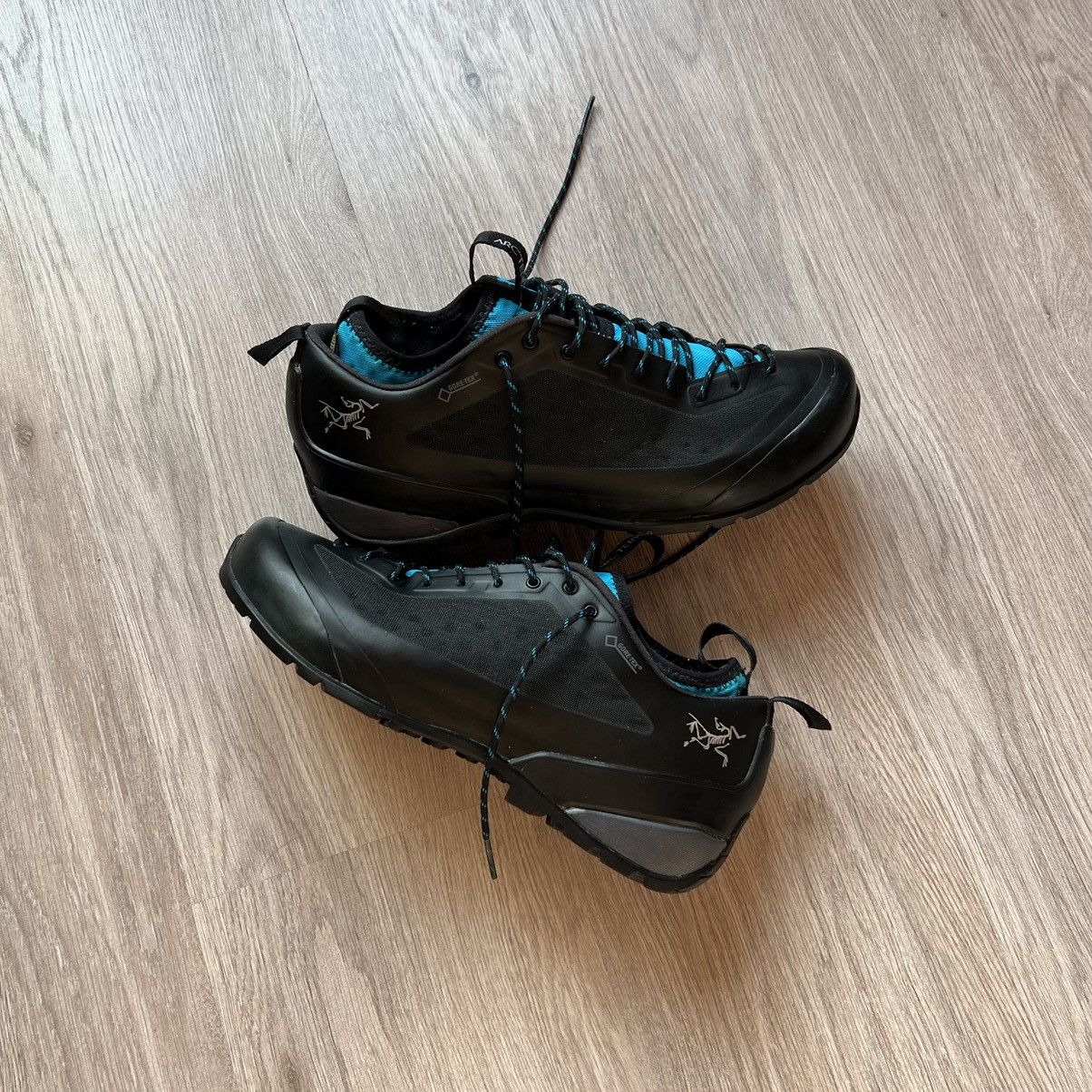 Arc'teryx Gore-tex Hiking Shoes