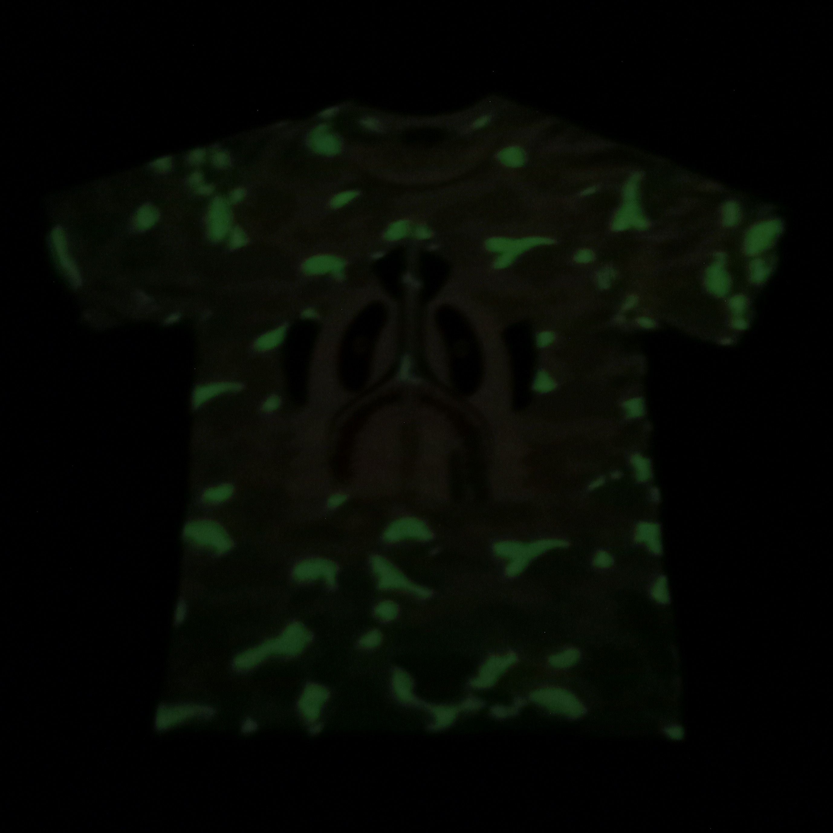 Bape City Camo Panda Tee (2016) Size US M / EU 48-50 / 2 - 2 Thumbnail
