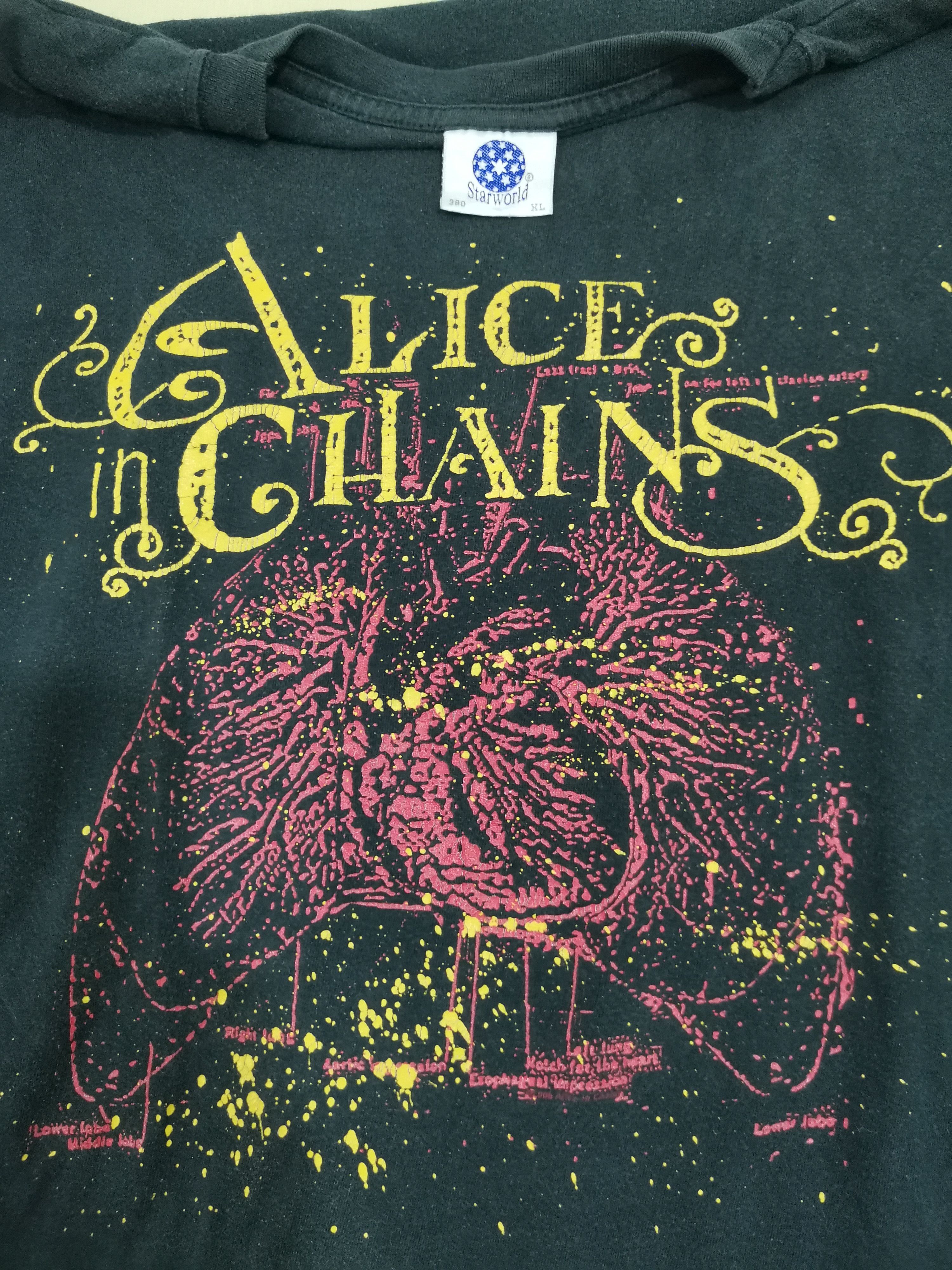 Alice in Chains Vintage 90's Tour Tee