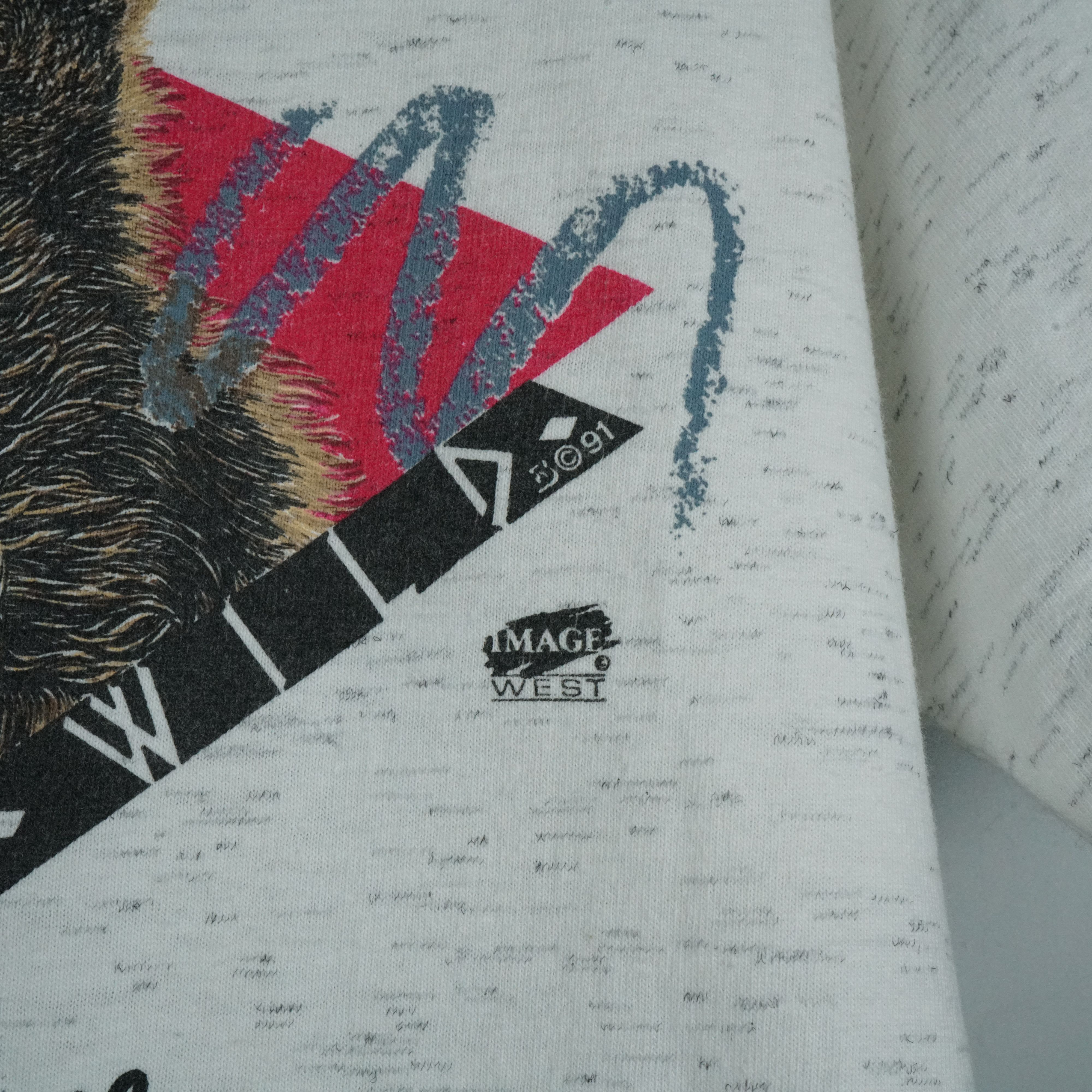 Vintage 1990s Born to Be Wild Bryce Canyon Bear t-shirt Size US M / EU 48-50 / 2 - 3 Thumbnail