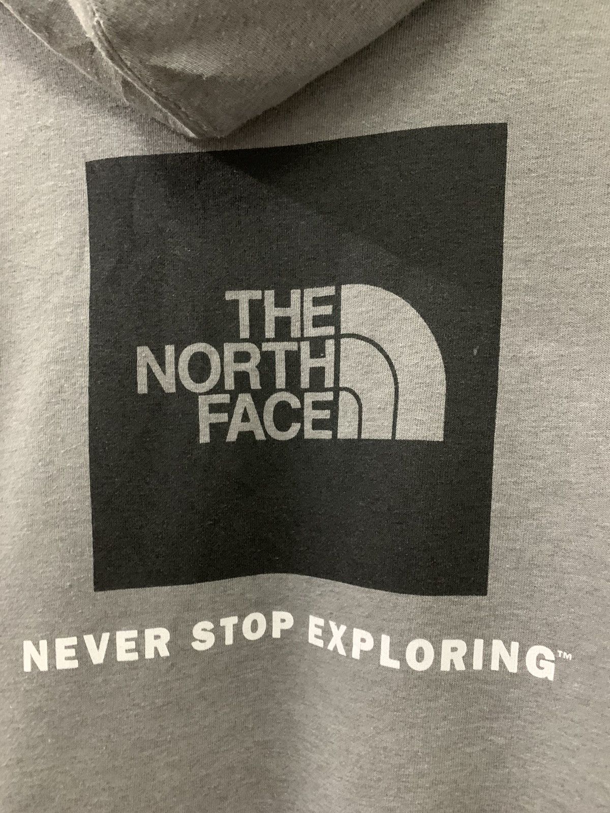 The North Face The North Face Hoodie Back Big Logo Size US M / EU 48-50 / 2 - 5 Thumbnail