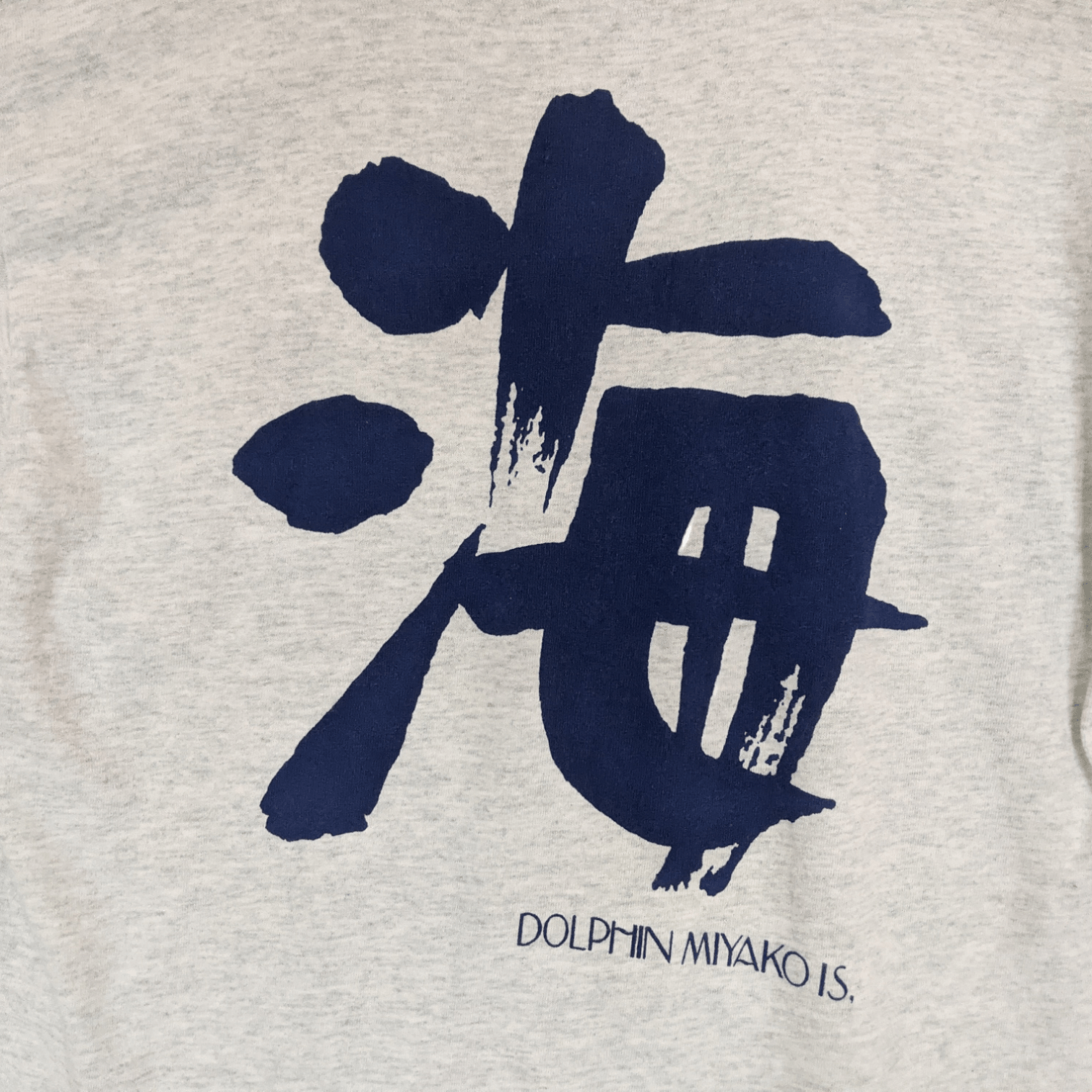 Fruit Of The Loom Vintage DOLPHIN MIYAKO IS Japan Kanji Tee Single Stitches Size US M / EU 48-50 / 2 - 6 Thumbnail