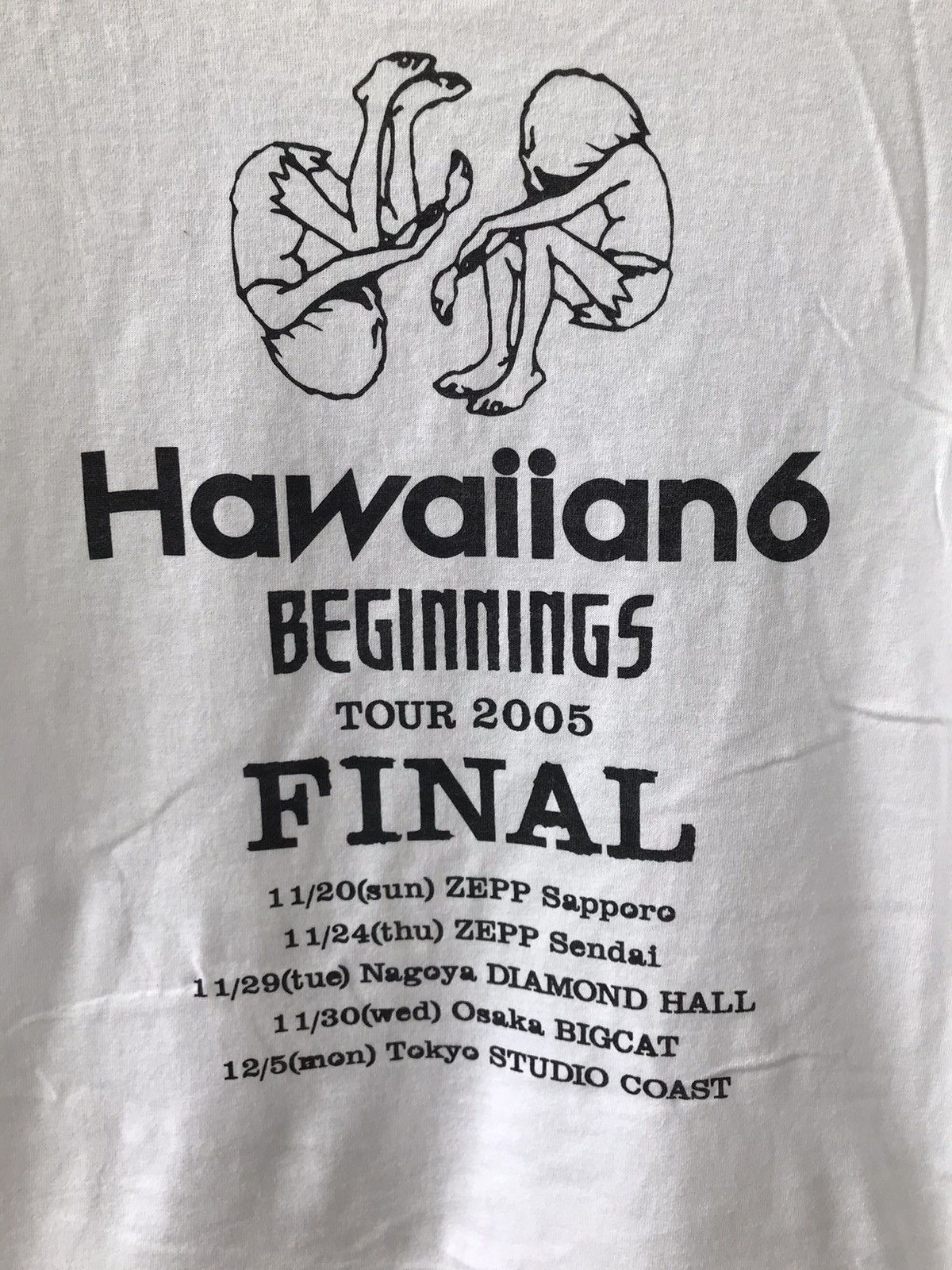 Anvil × Band Tees Vintage Band Hawaiian 6 Tee Hardcore /Punk Rock Genre Size US S / EU 44-46 / 1 - 5 Thumbnail