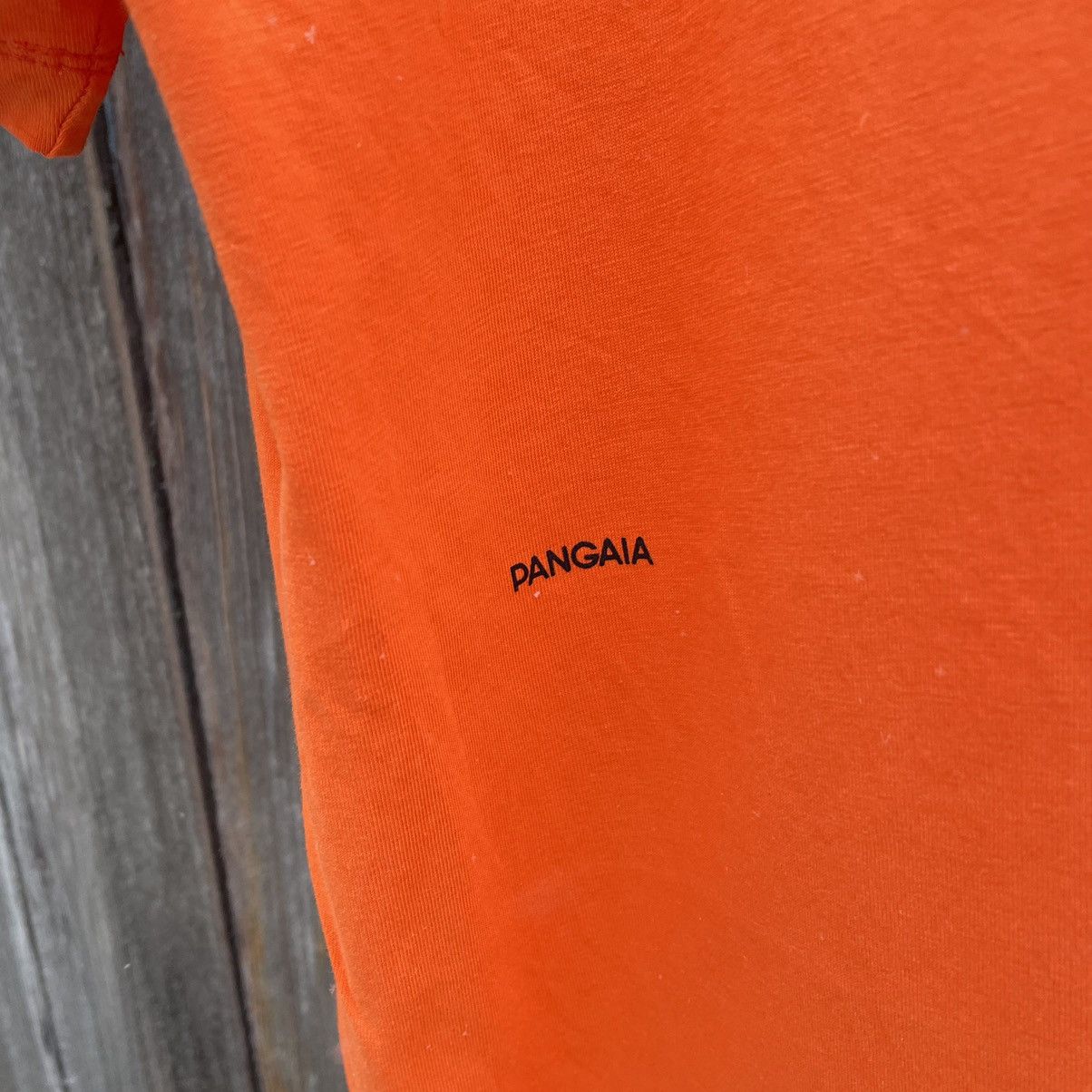 Pangaia Luxury Pangaia T-shirts Big Logo Xs-S Streetwear Oversize Size US S / EU 44-46 / 1 - 5 Thumbnail