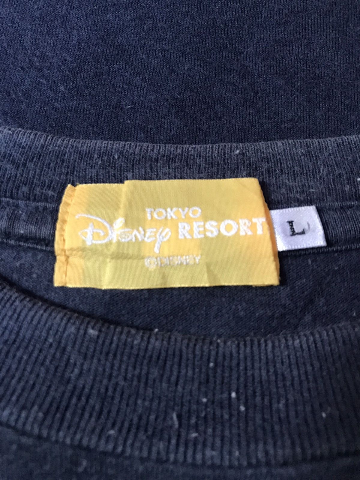 Disney Pooh Disney Resort Tee Size L Size US L / EU 52-54 / 3 - 3 Thumbnail