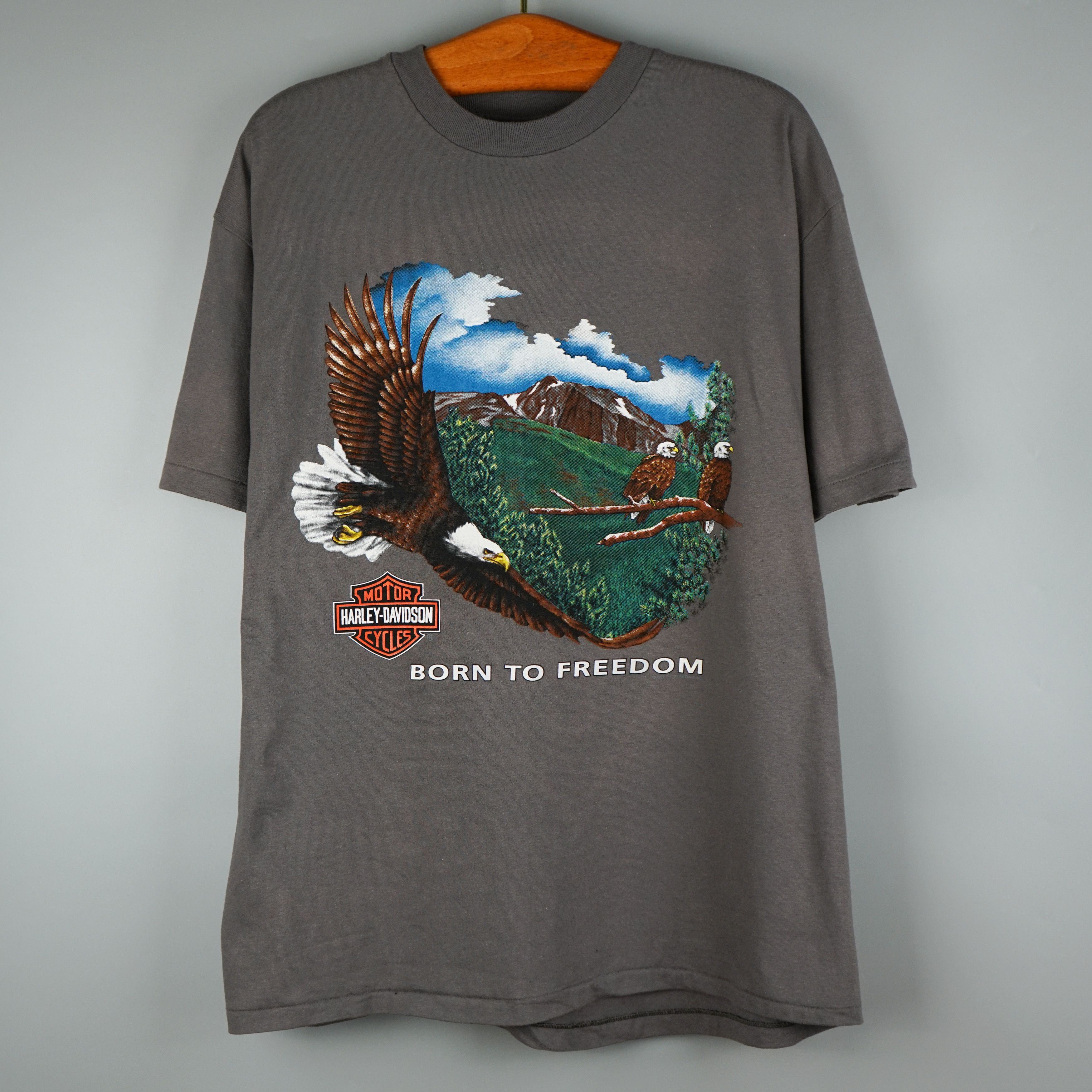 Harley Davidson × Vintage Vintage Harley Davidson Jesus Christ