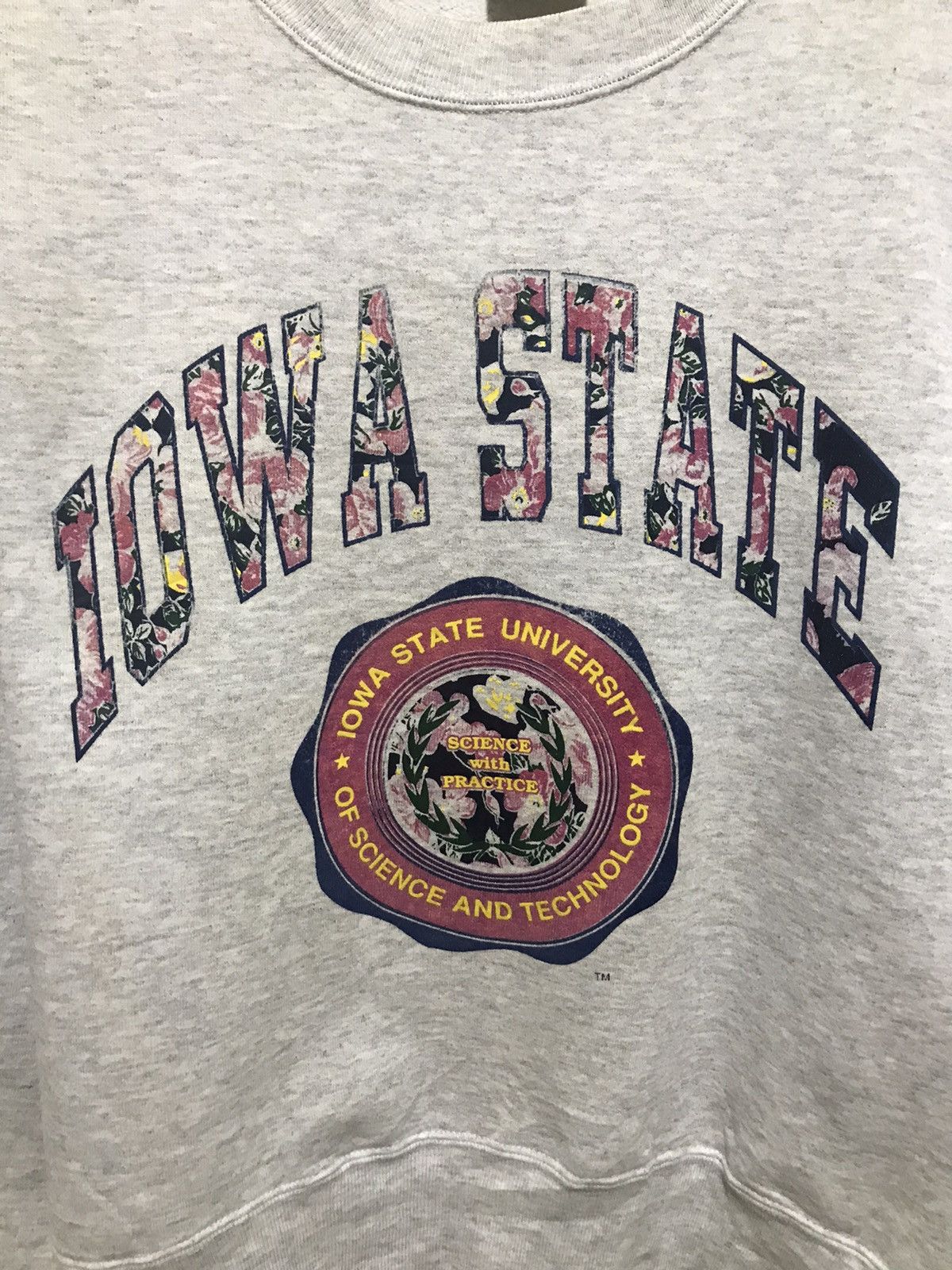 Nutmeg Nutmeg Sweatshirts spell out big logo IOWA STATE size L Size US L / EU 52-54 / 3 - 4 Thumbnail